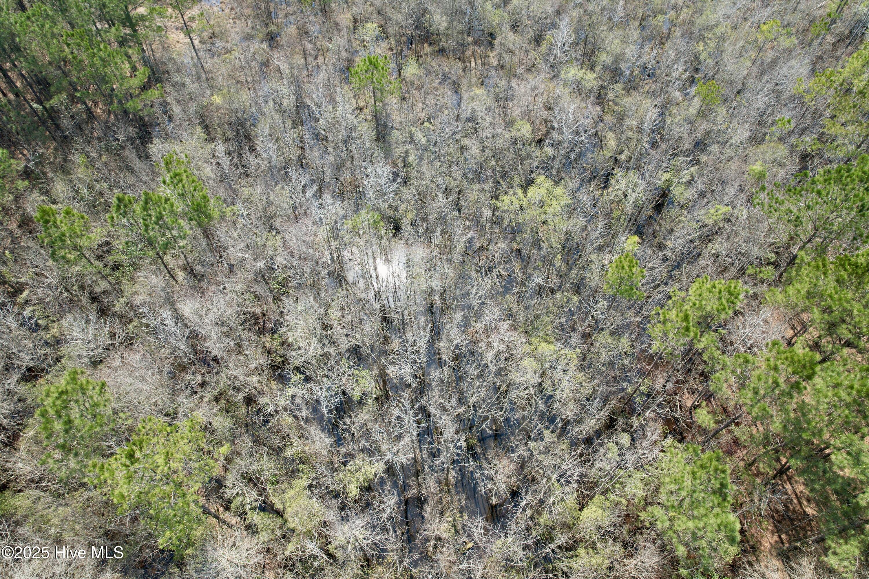0 Seven Creeks Hwy Property Photo 55