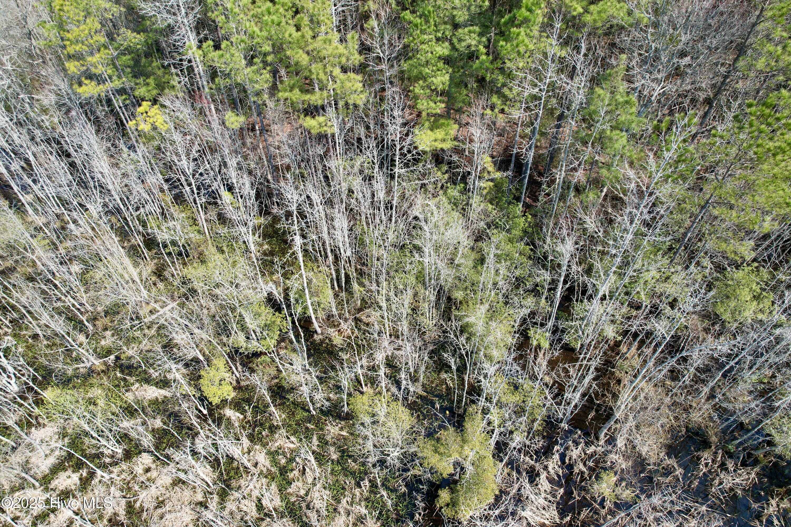 0 Seven Creeks Hwy Property Photo 56