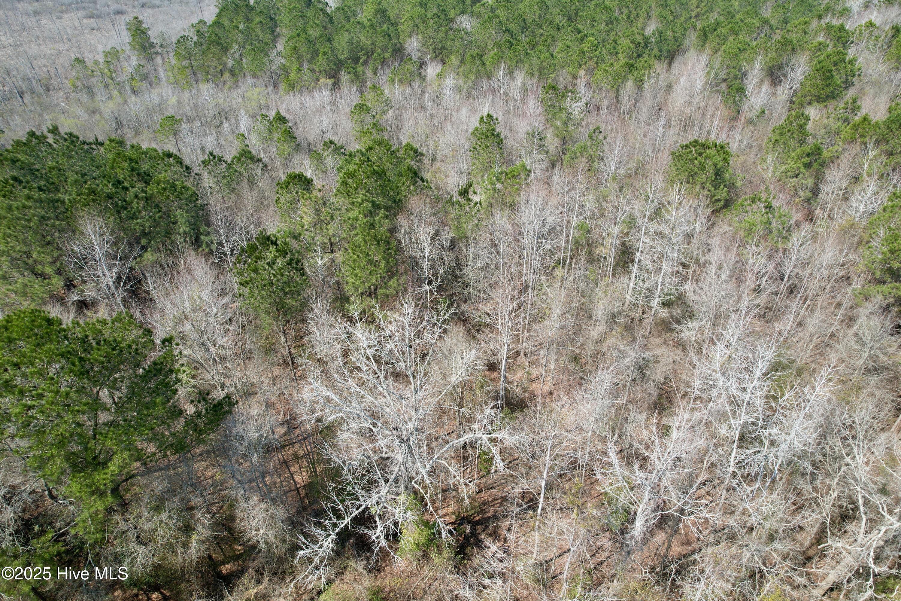 0 Seven Creeks Hwy Property Photo 57