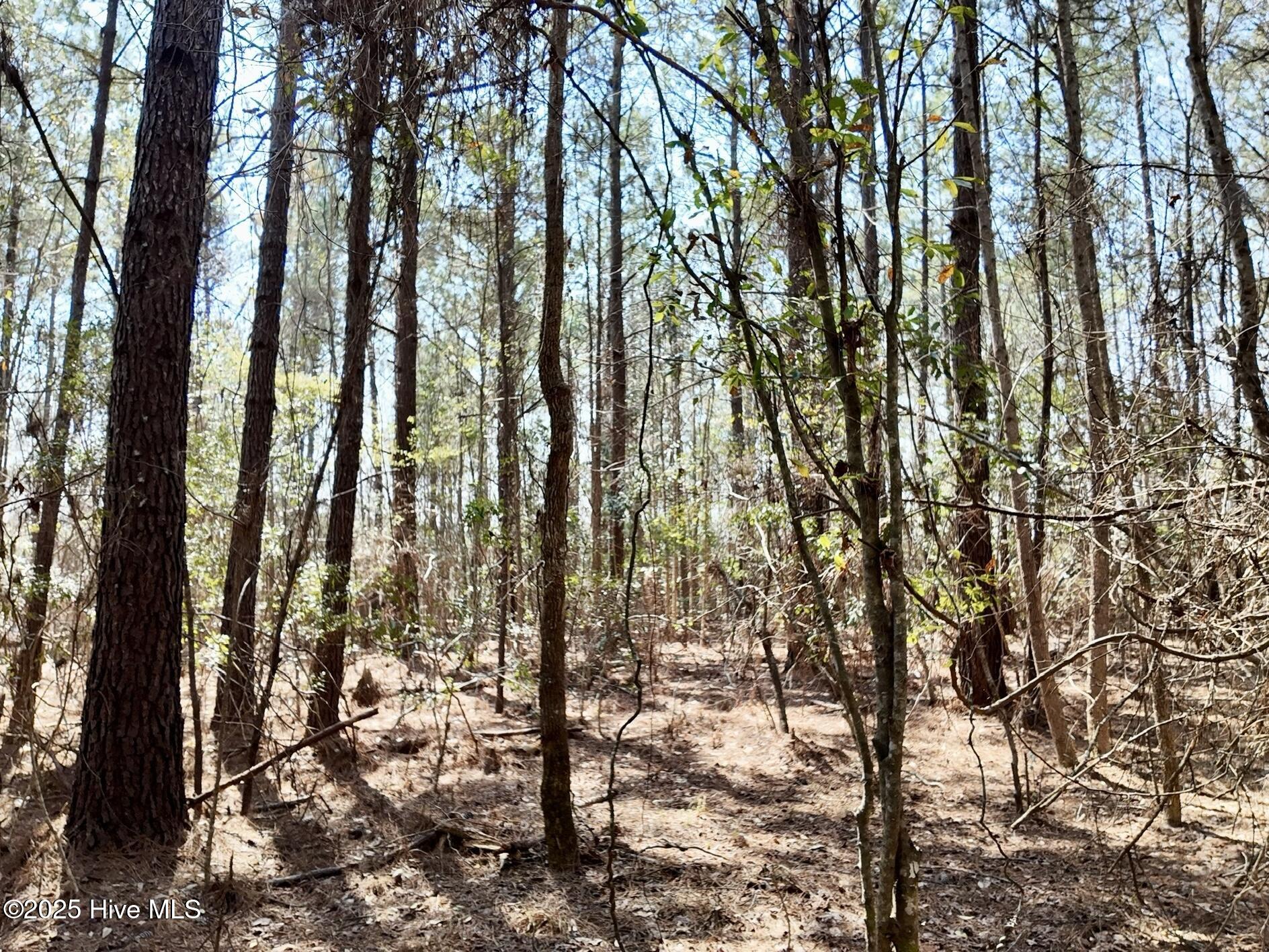 0 Seven Creeks Hwy Property Photo 58