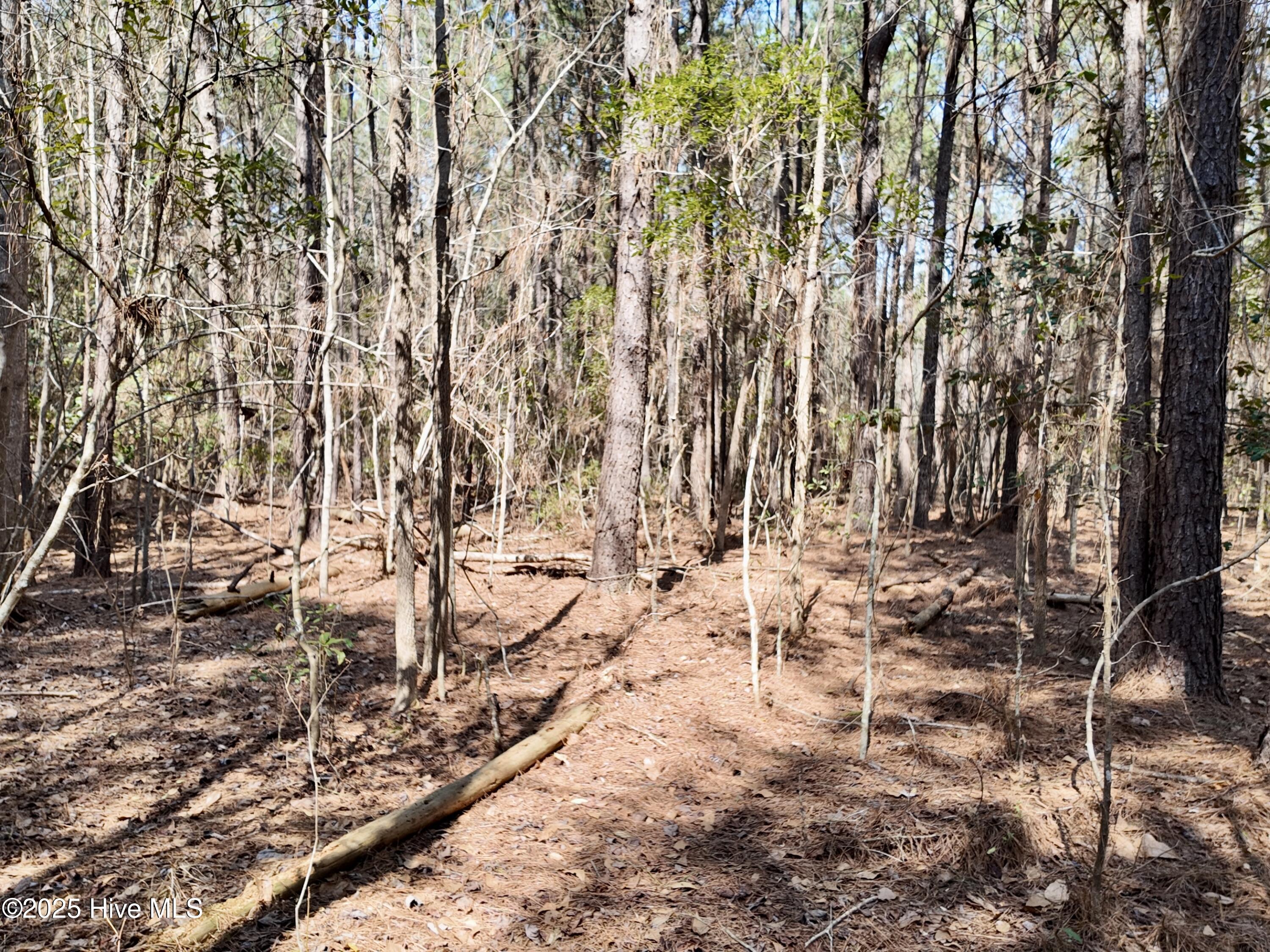 0 Seven Creeks Hwy Property Photo 59