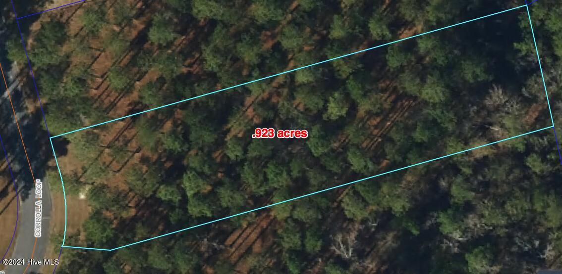 95 Corrolla Loop Road Property Photo