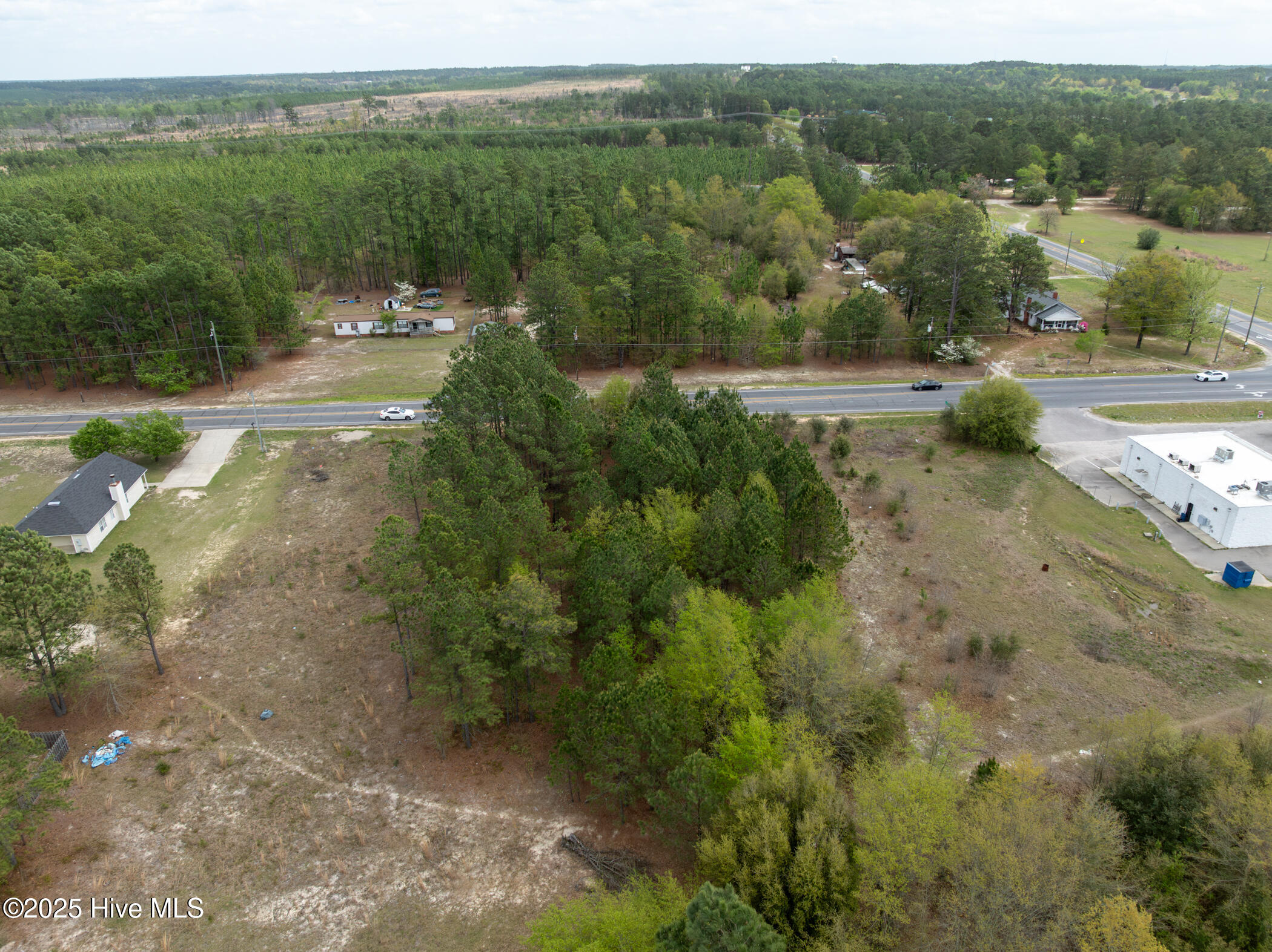 0 Wiregrass Road Property Photo 6