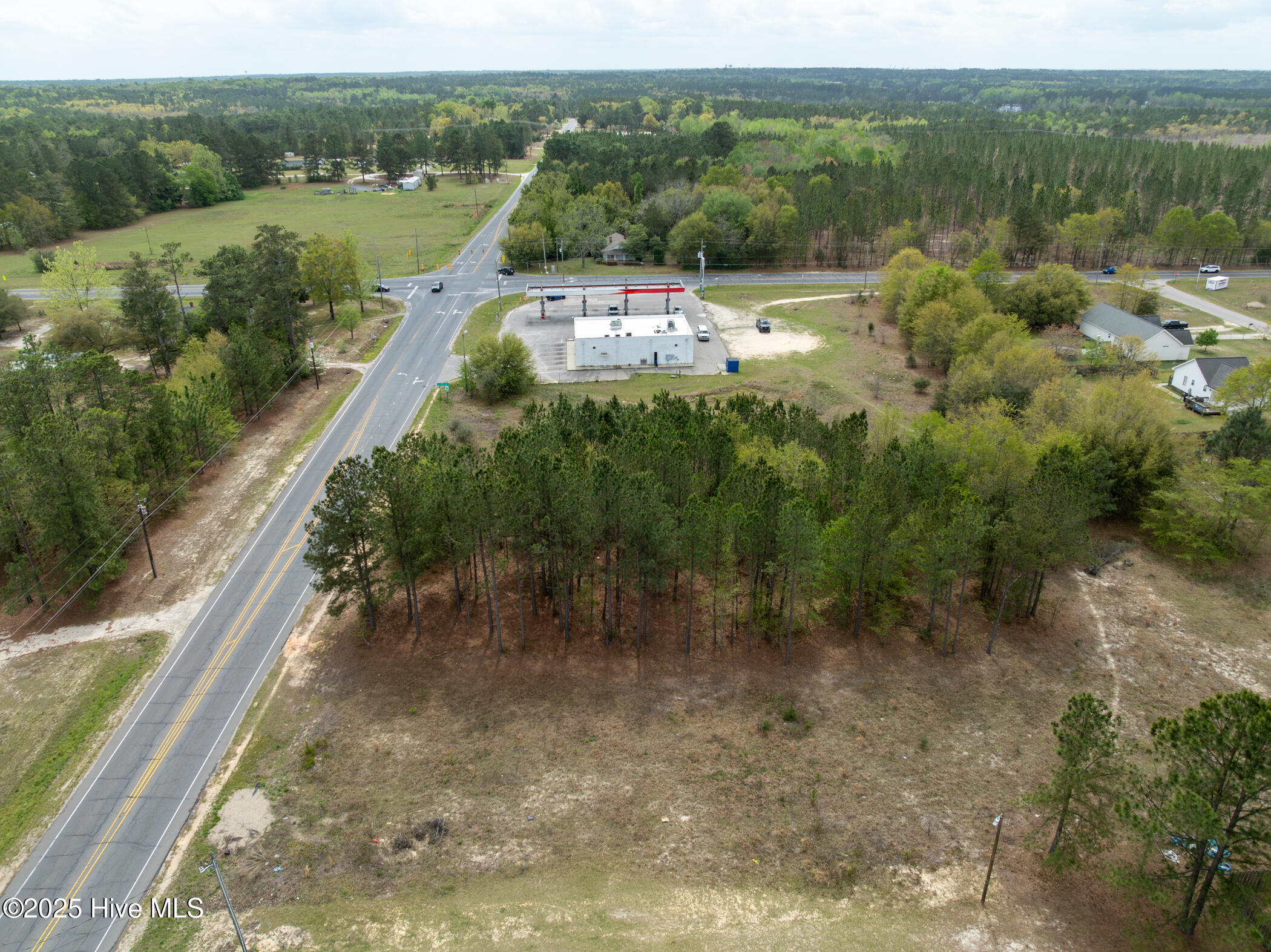 0 Wiregrass Road Property Photo 15
