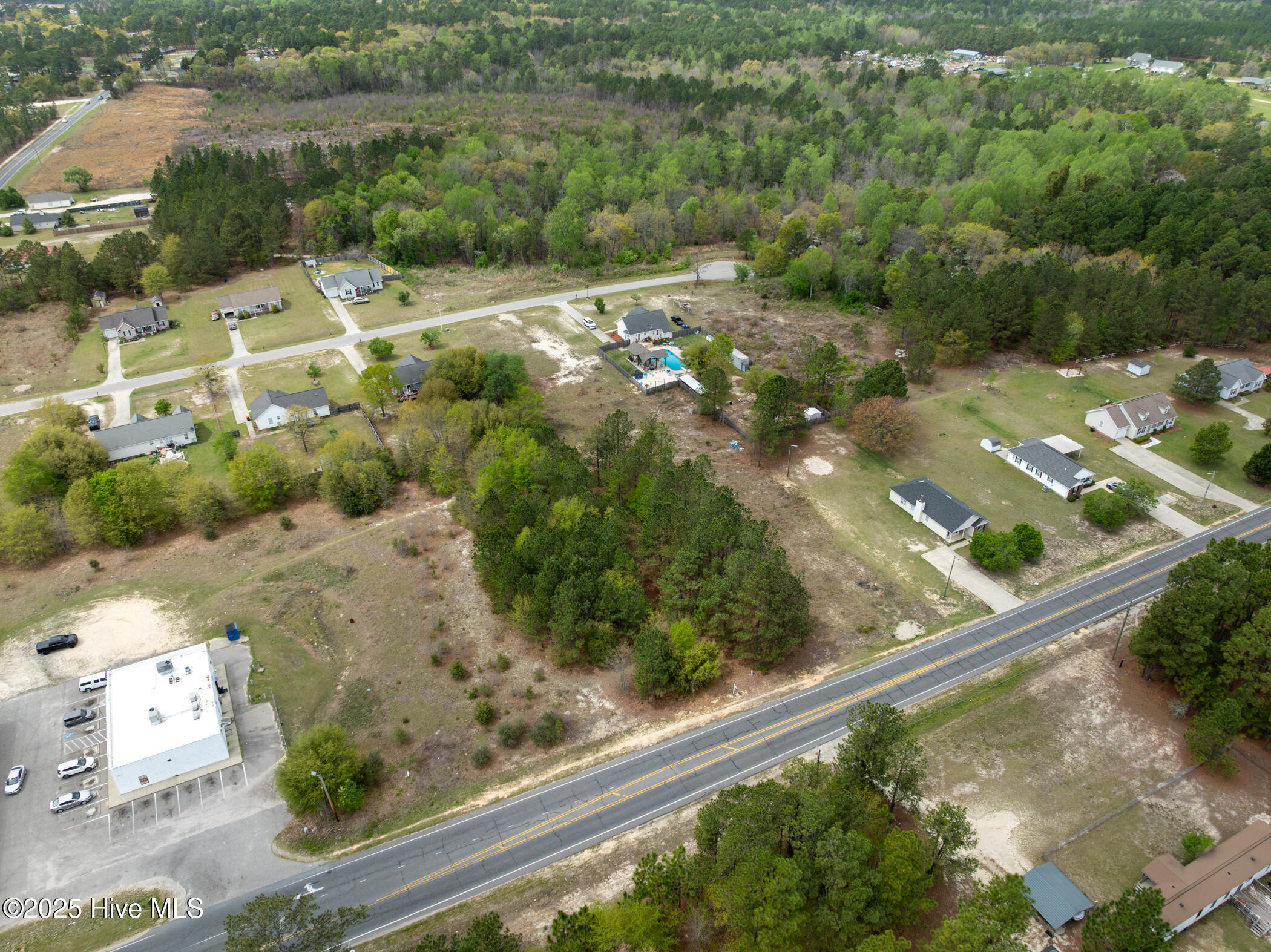 0 Wiregrass Road Property Photo 18