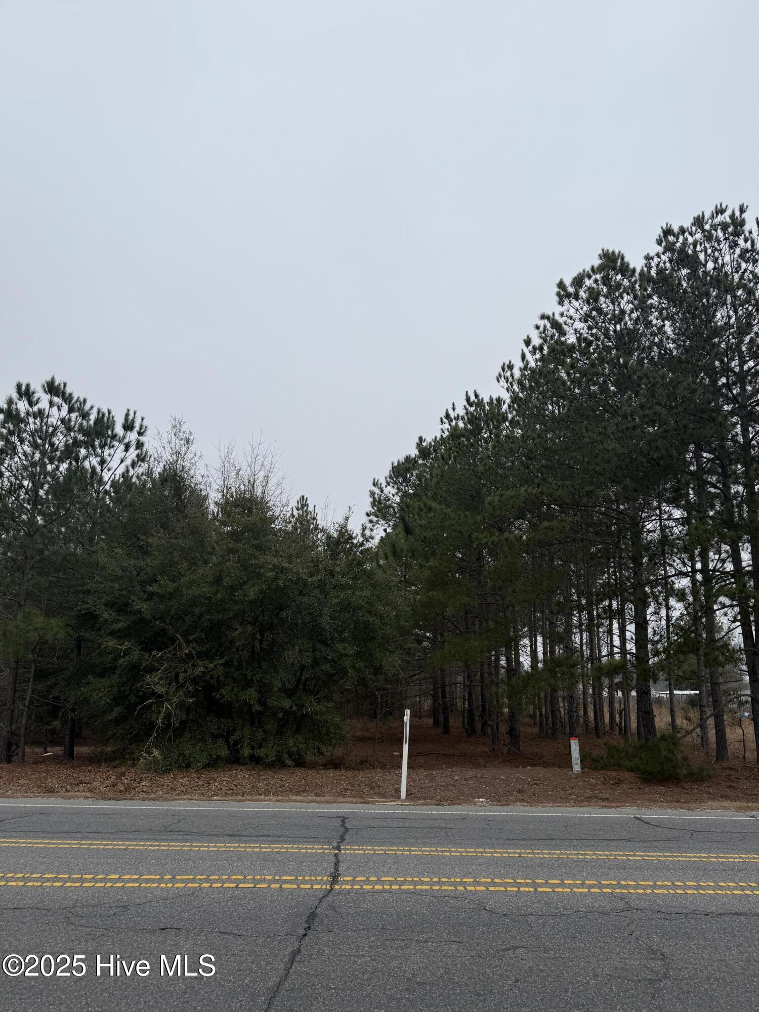 0 Wiregrass Road Property Photo 20