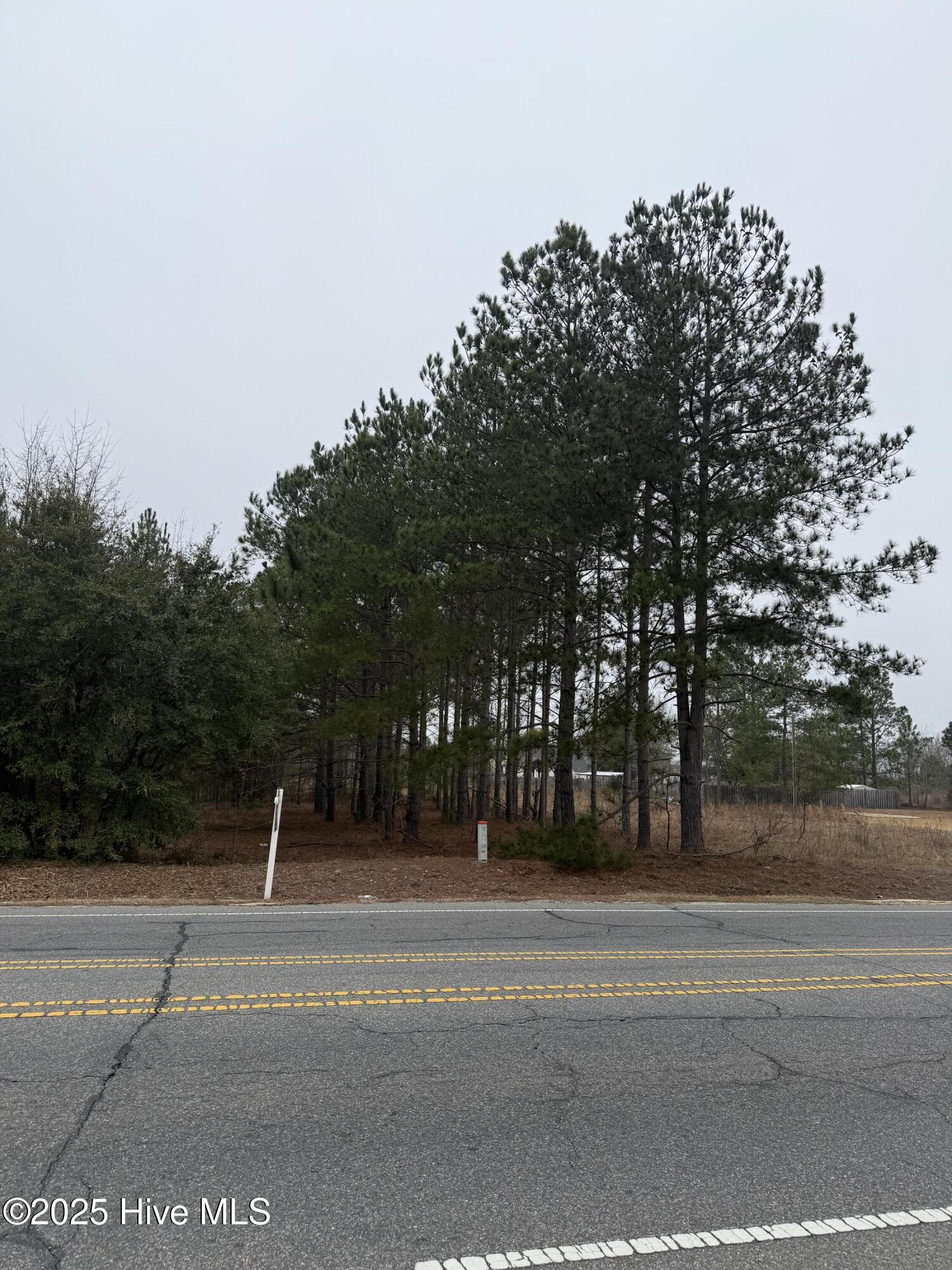 0 Wiregrass Road Property Photo 21