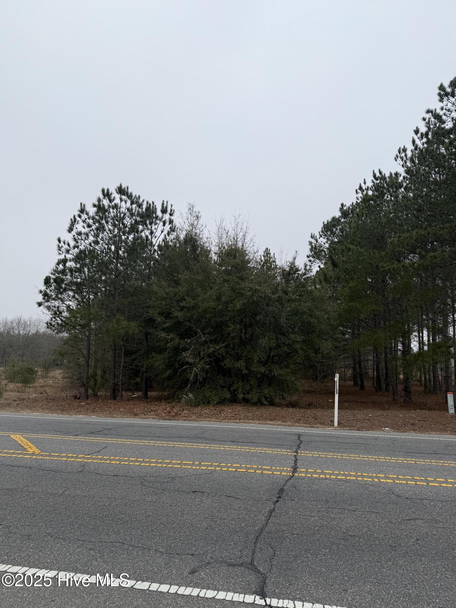 0 Wiregrass Road Property Photo 22