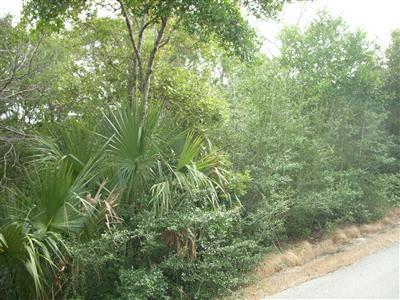 200 Whale Head Way Property Photo 4
