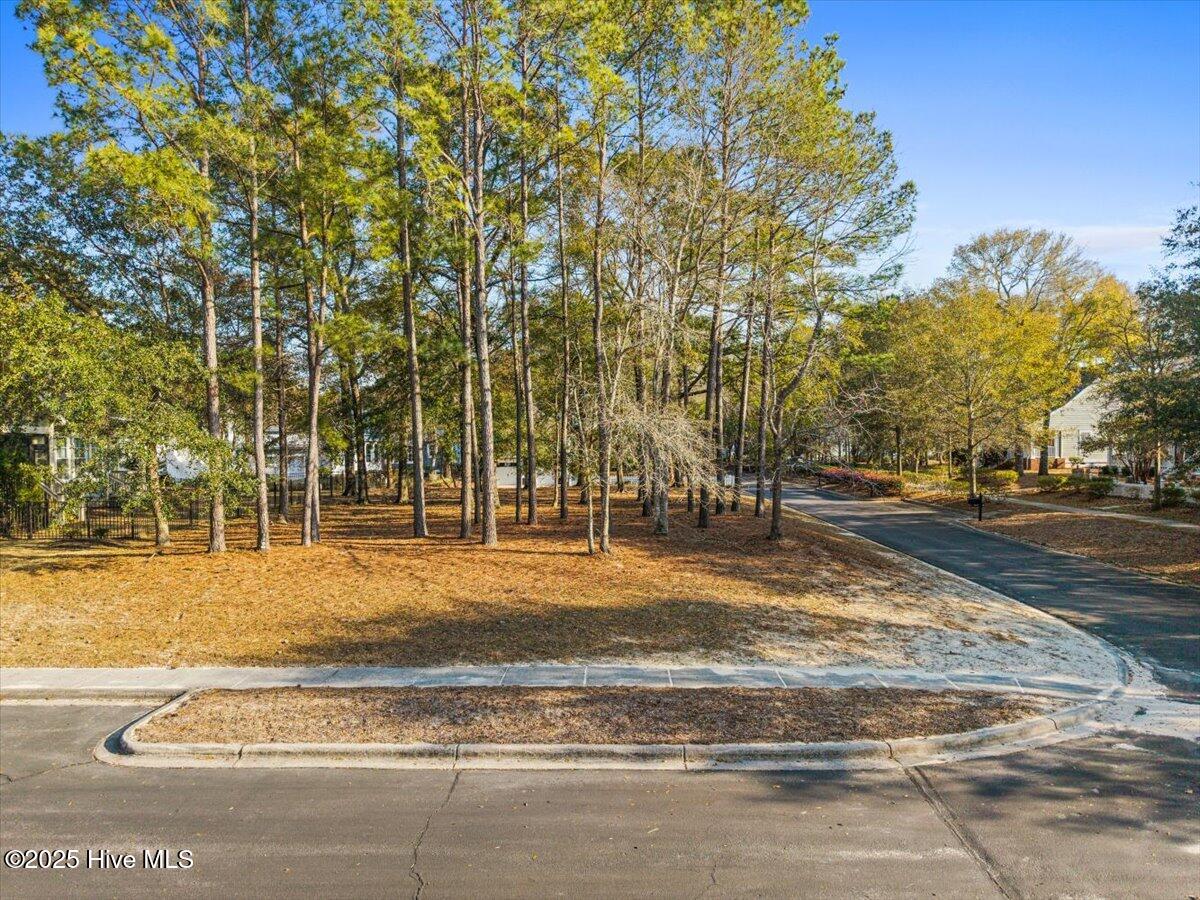 9299 Cargill Drive Property Photo 1