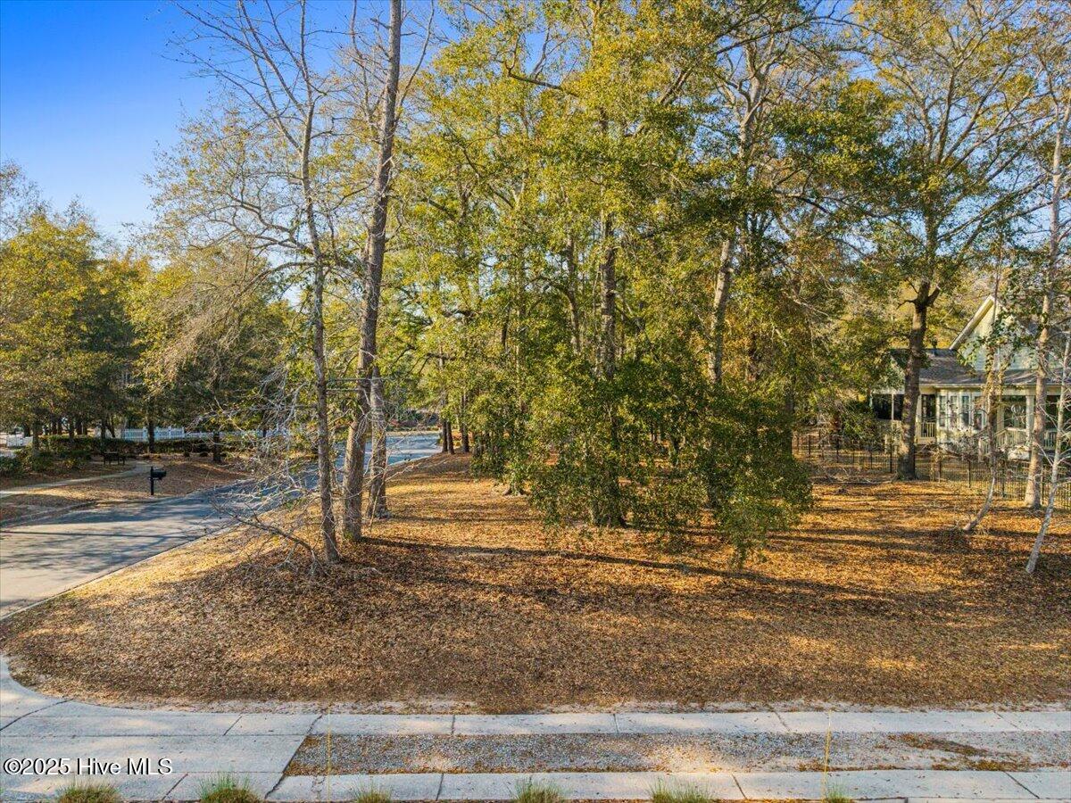 9299 Cargill Drive Property Photo 3