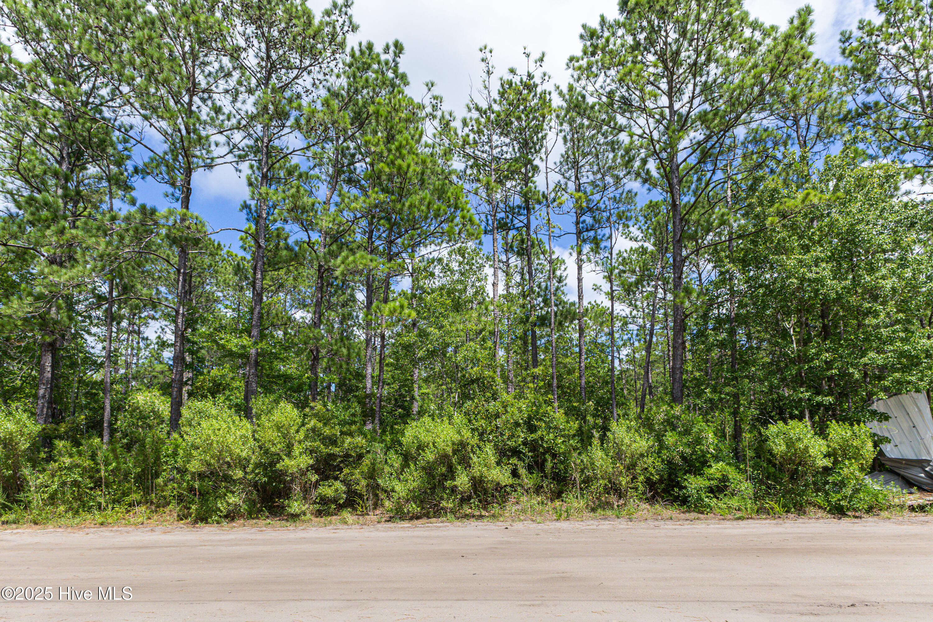 Lot 67 Committee Drive Property Photo 8