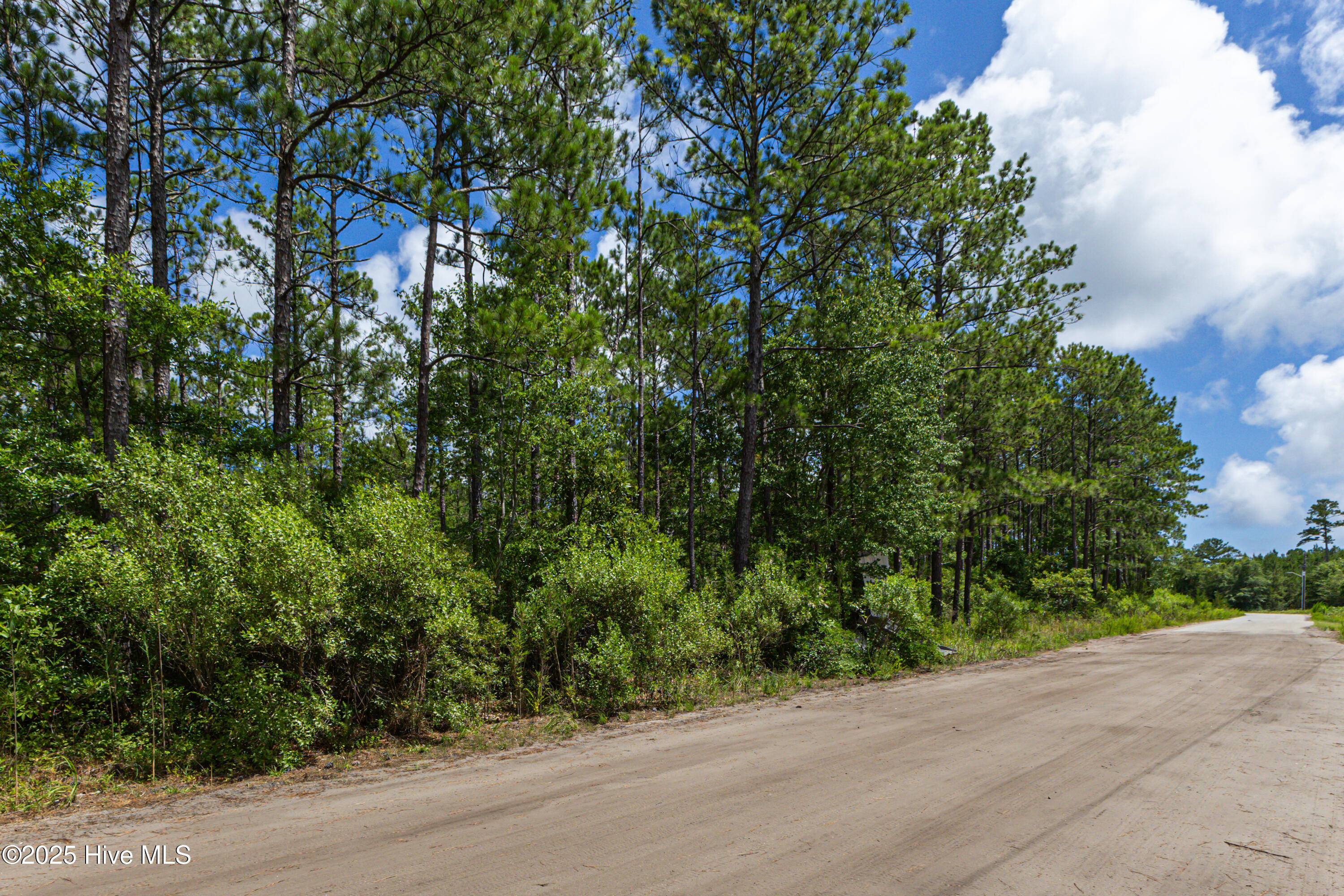 Lot 67 Committee Drive Property Photo 9