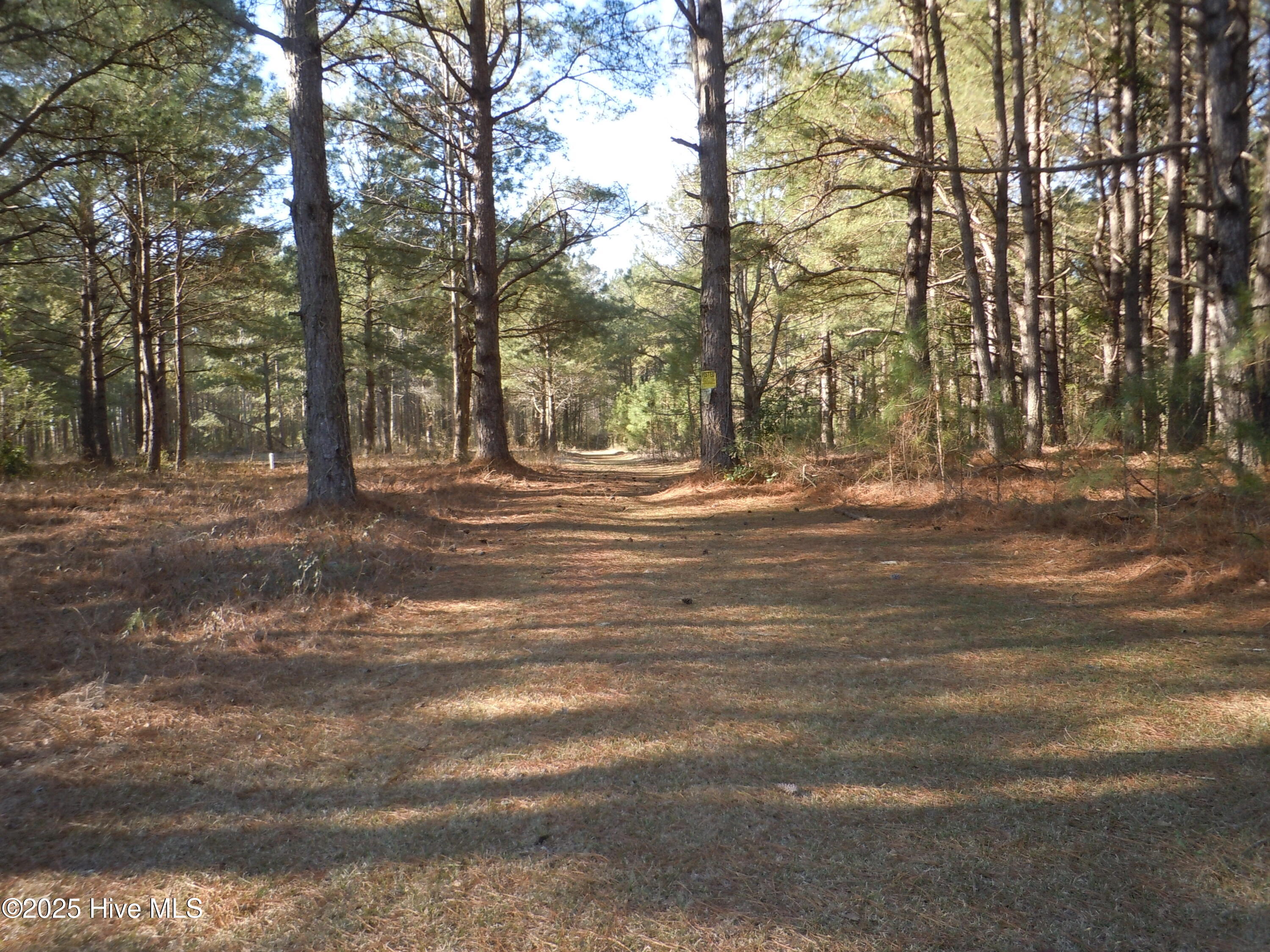 1244 Arn Ward Road Property Photo