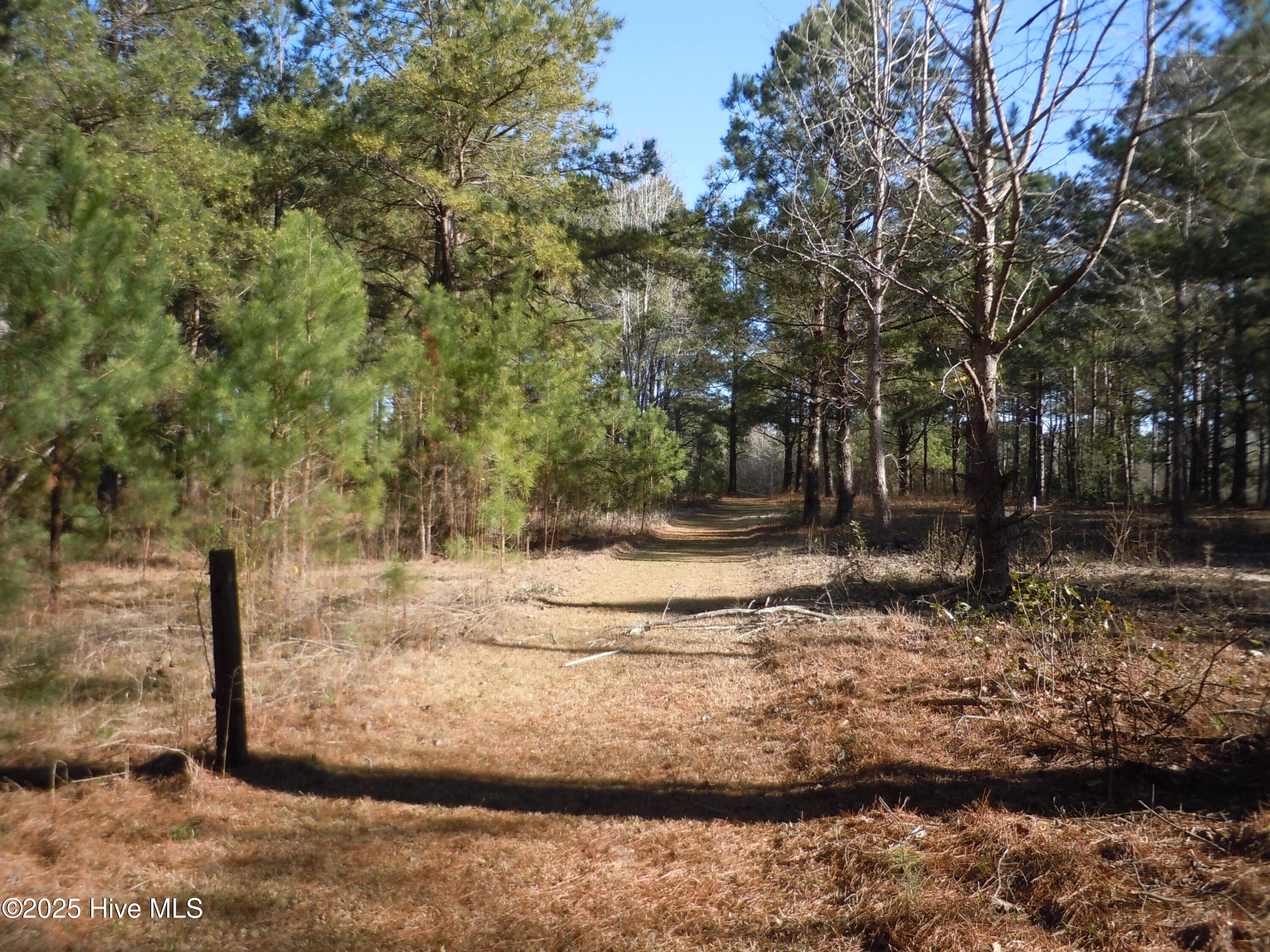 1244 Arn Ward Road Property Photo 2