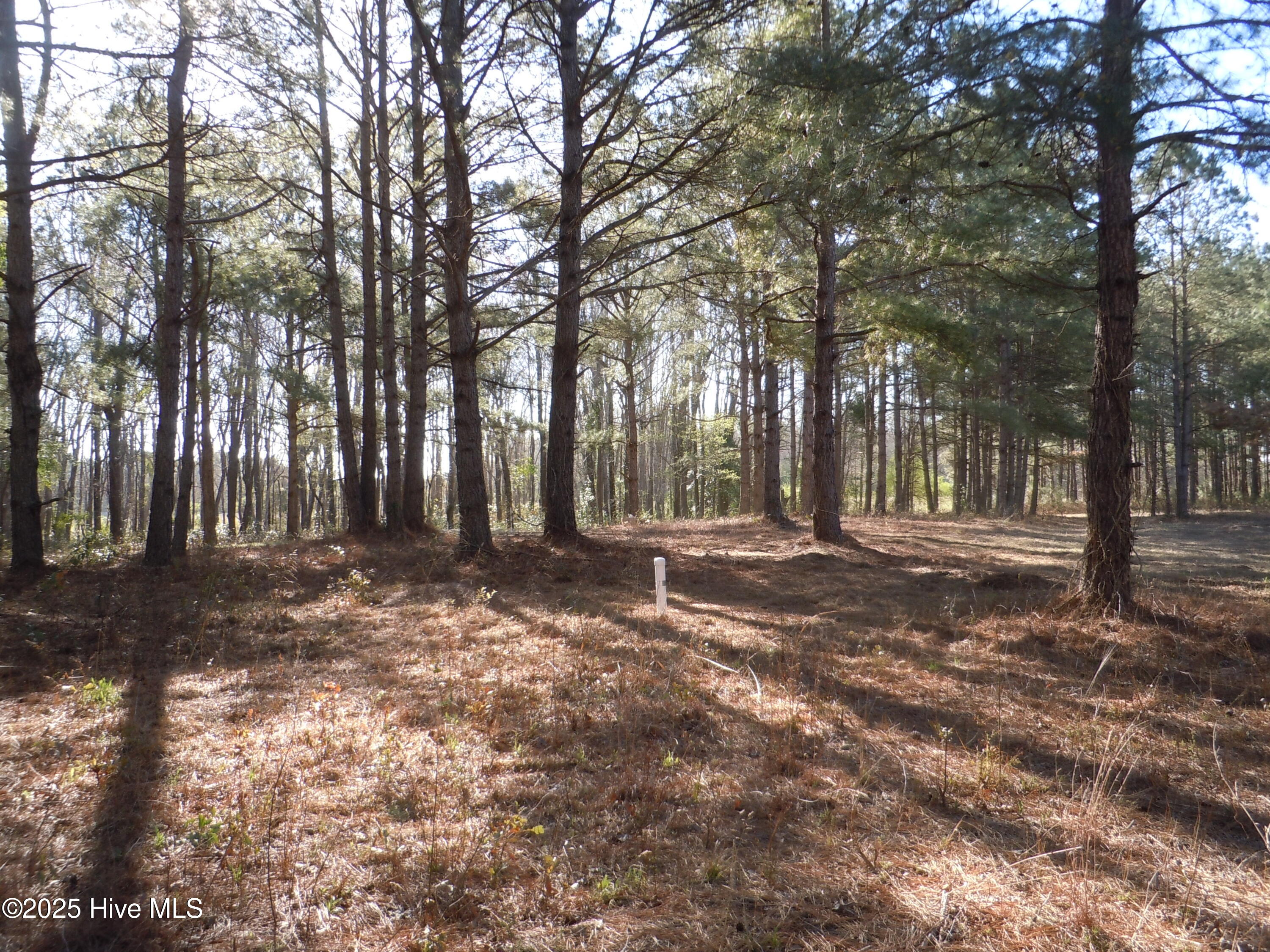 1244 Arn Ward Road Property Photo 4