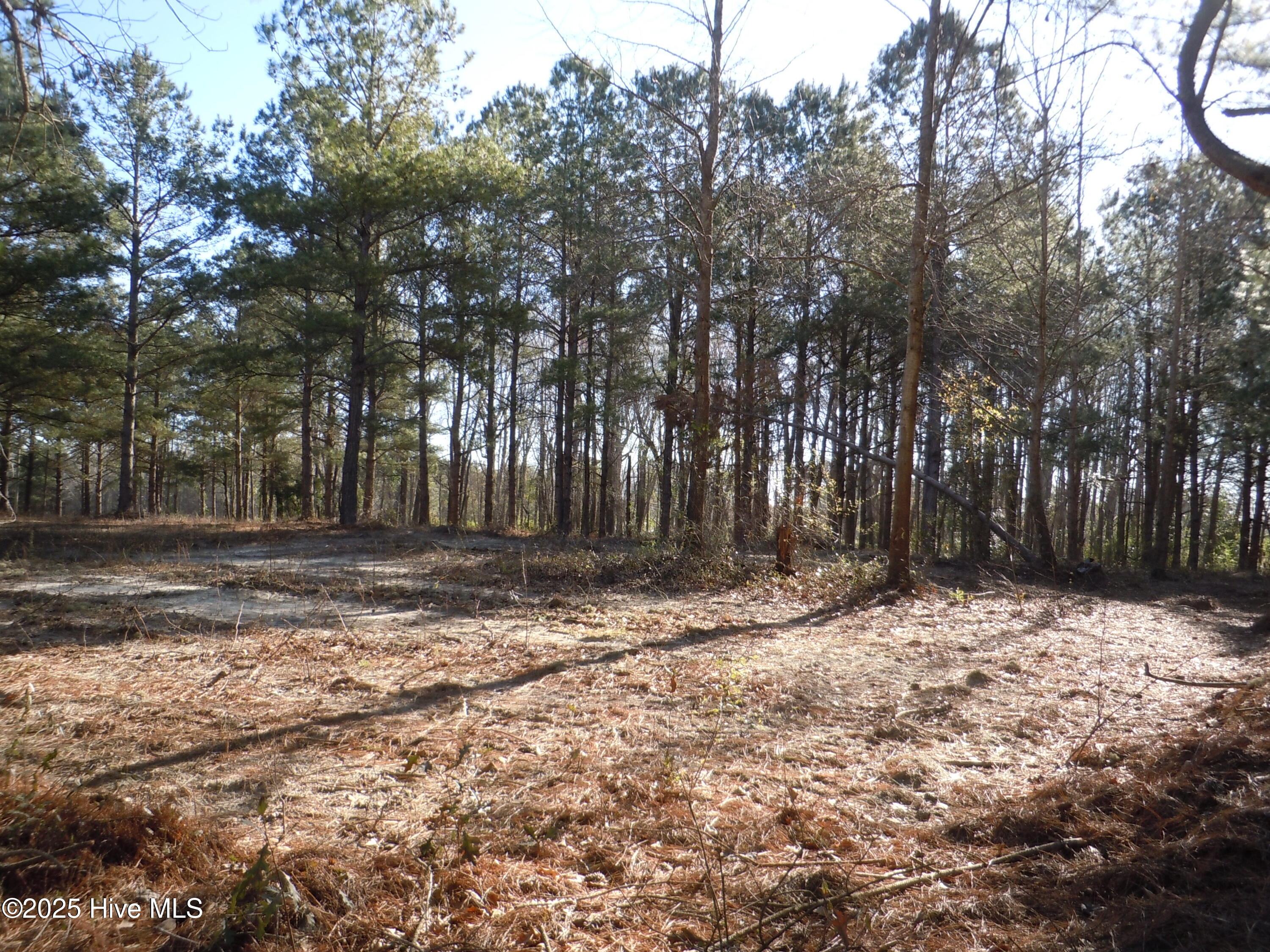 1244 Arn Ward Road Property Photo 5