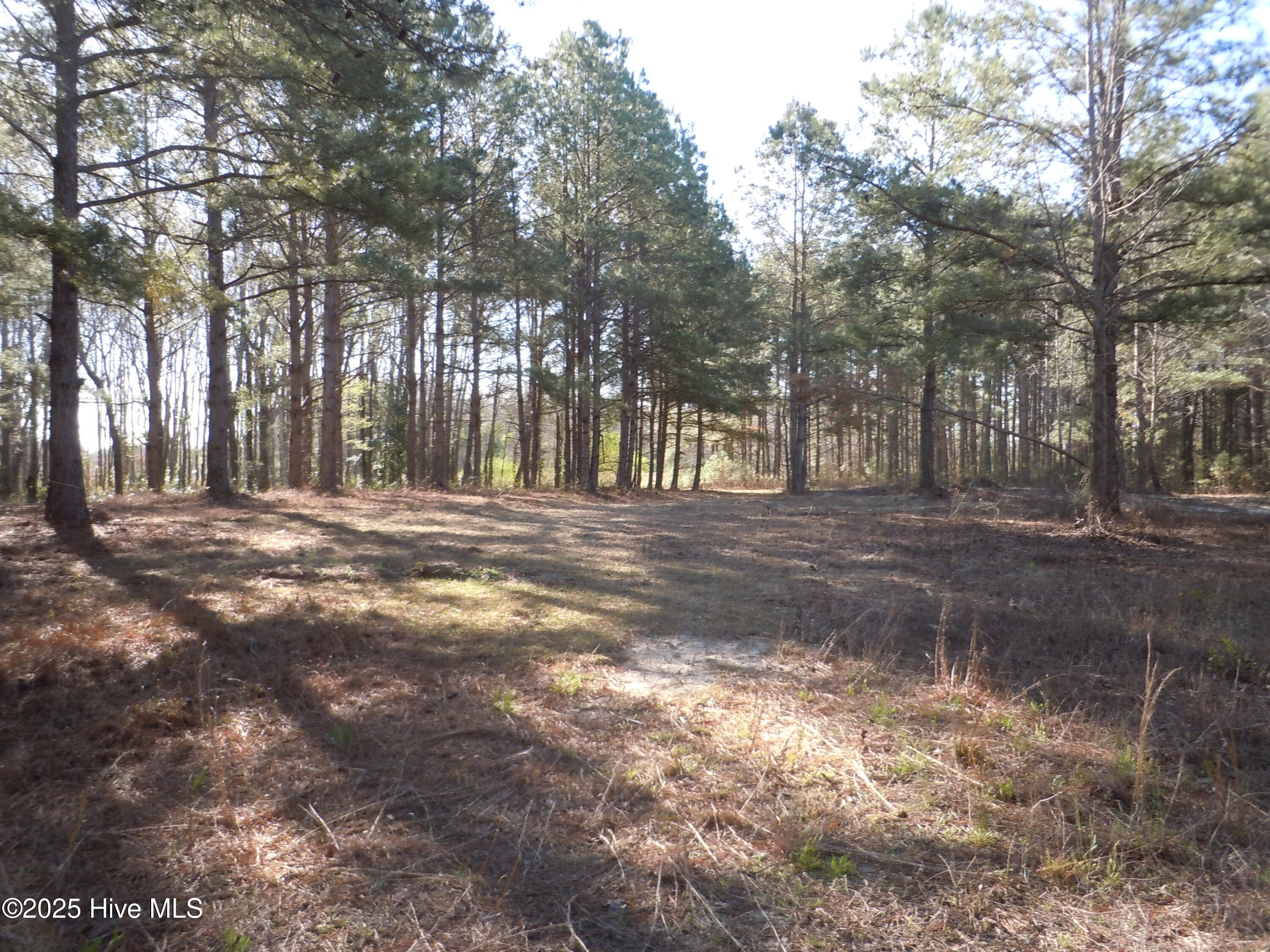 1244 Arn Ward Road Property Photo 6