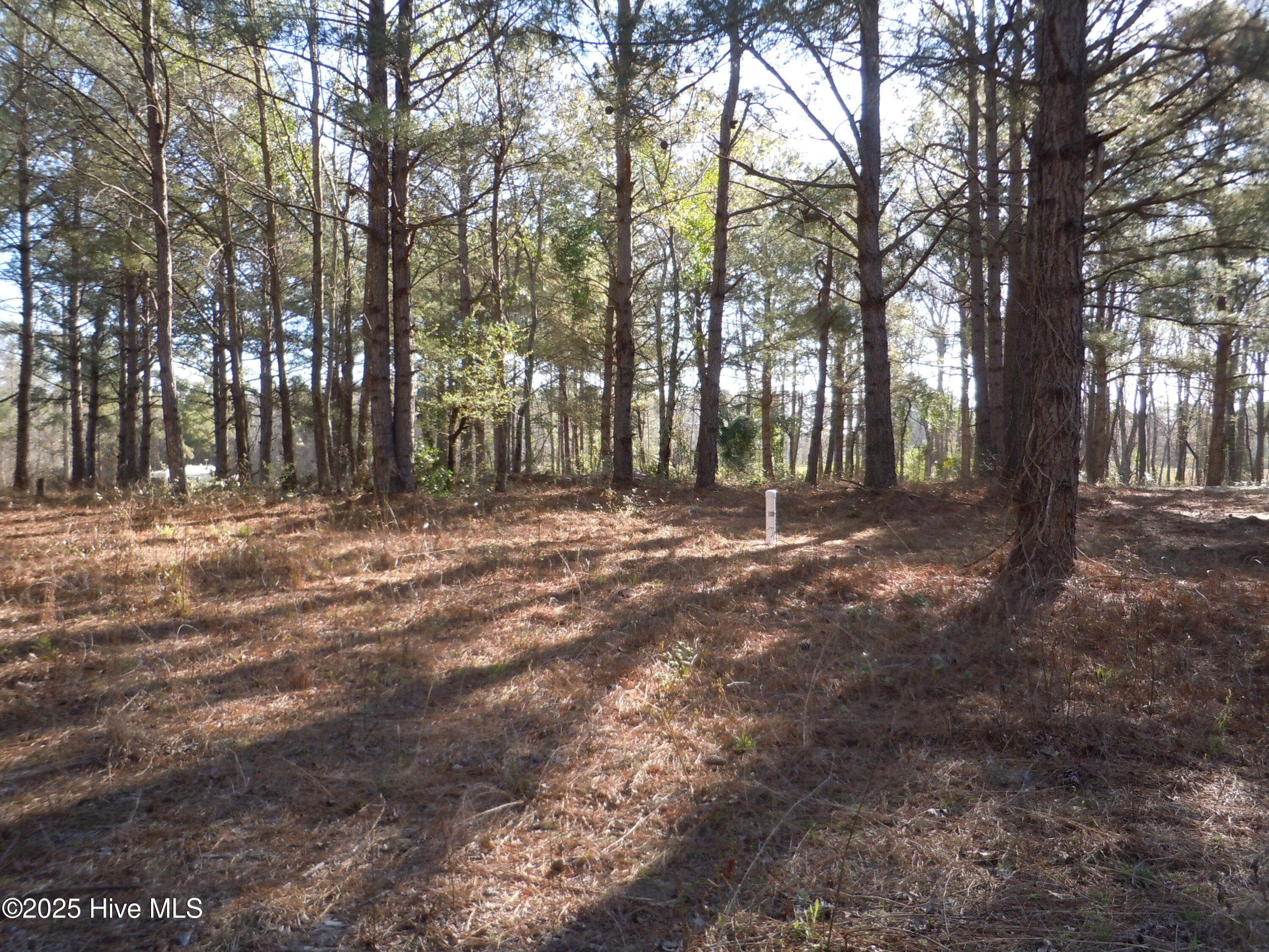 1244 Arn Ward Road Property Photo 7
