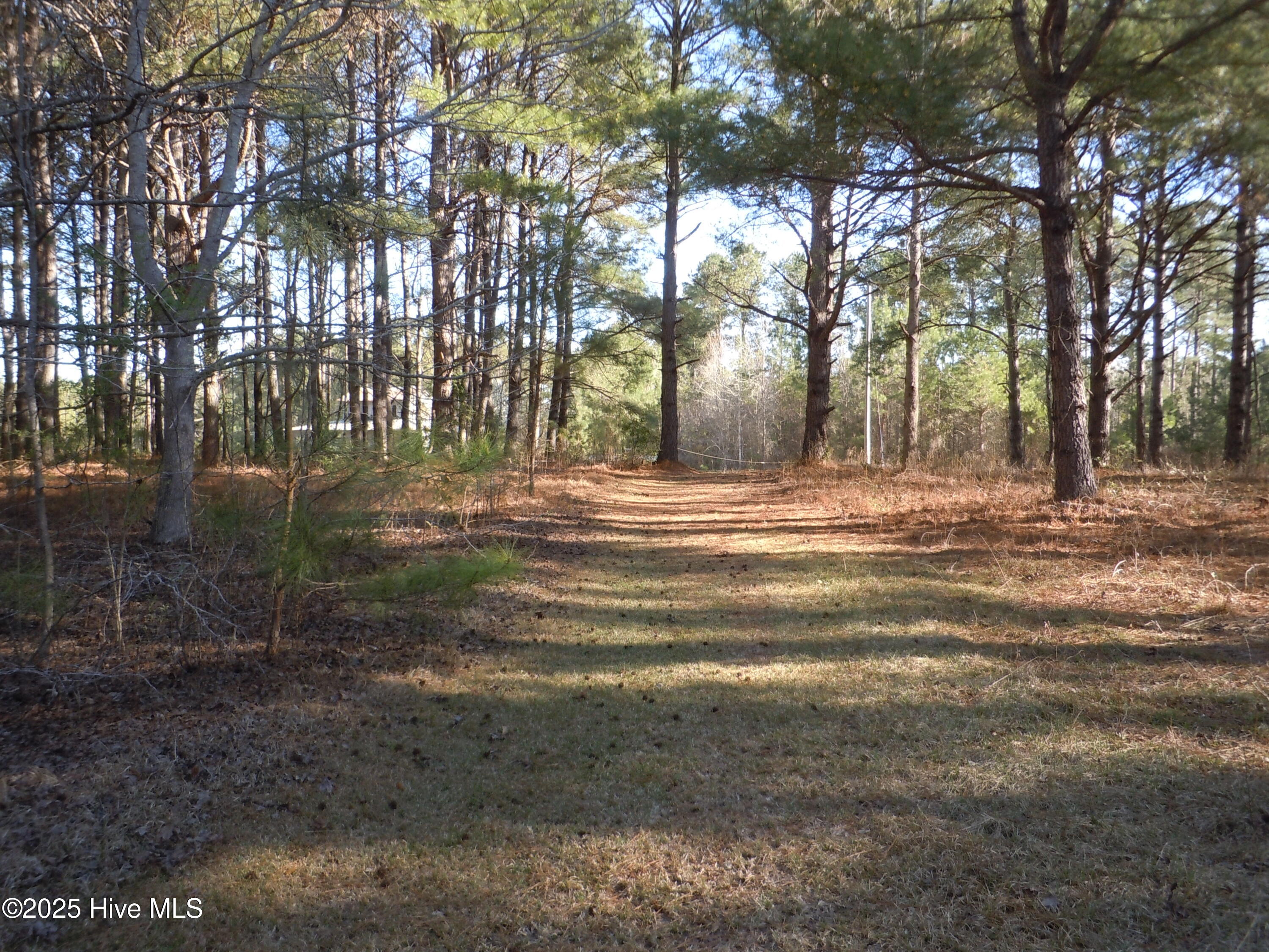 1244 Arn Ward Road Property Photo 8