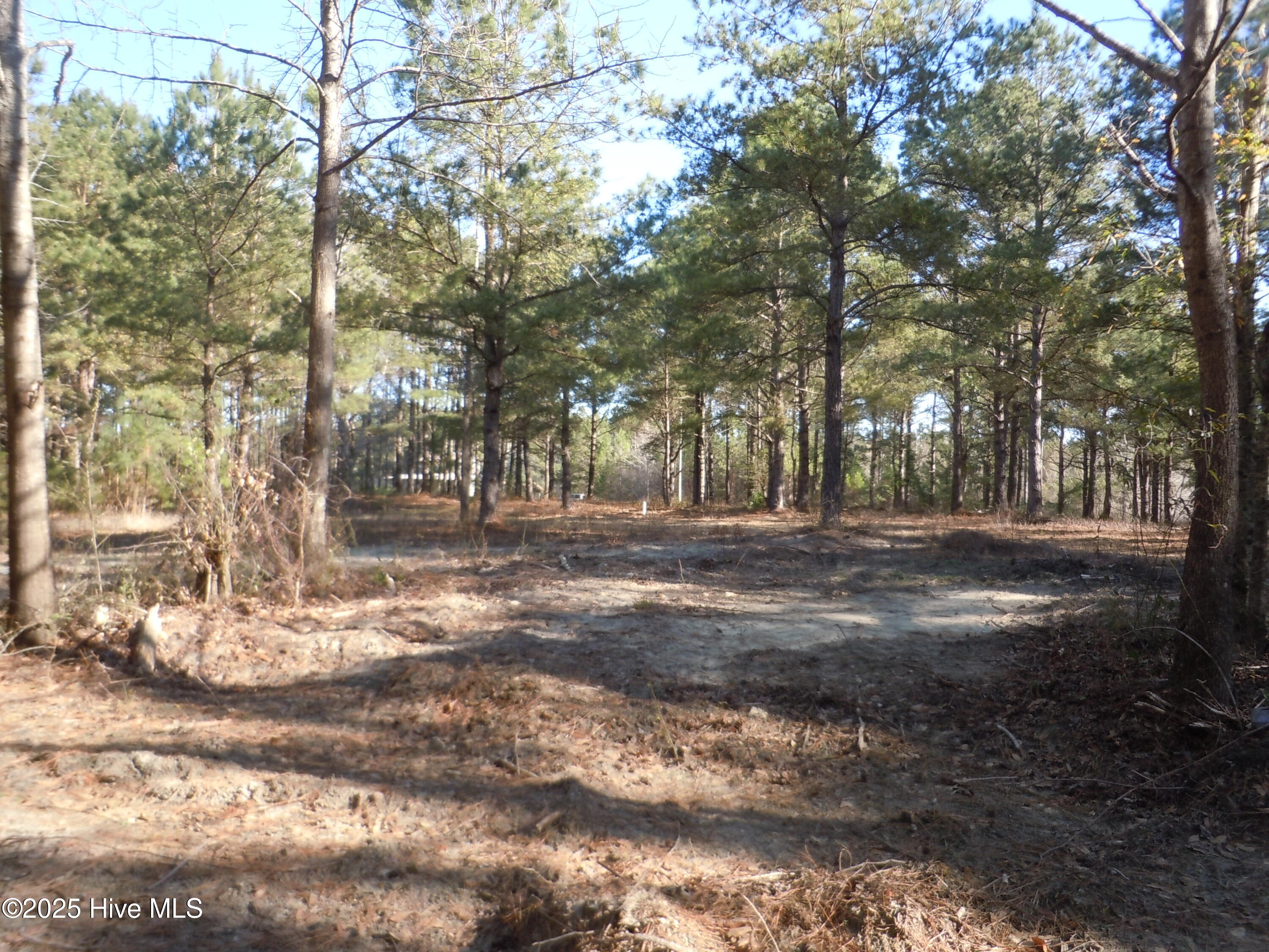 1244 Arn Ward Road Property Photo 10