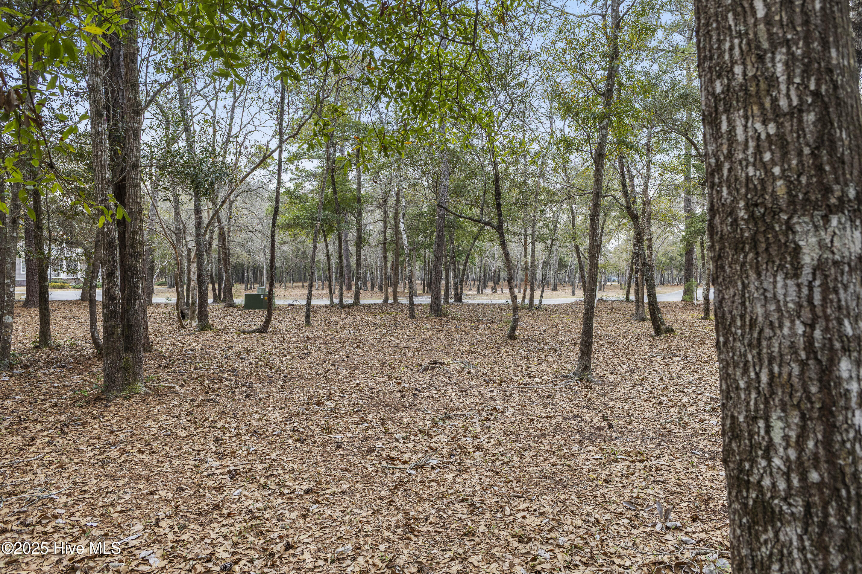 576 Maritime Way Property Photo 18