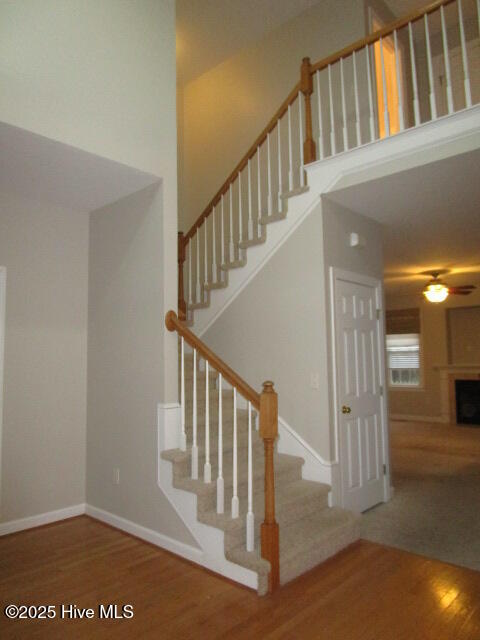 106 Beach Haven Cove Property Photo 5