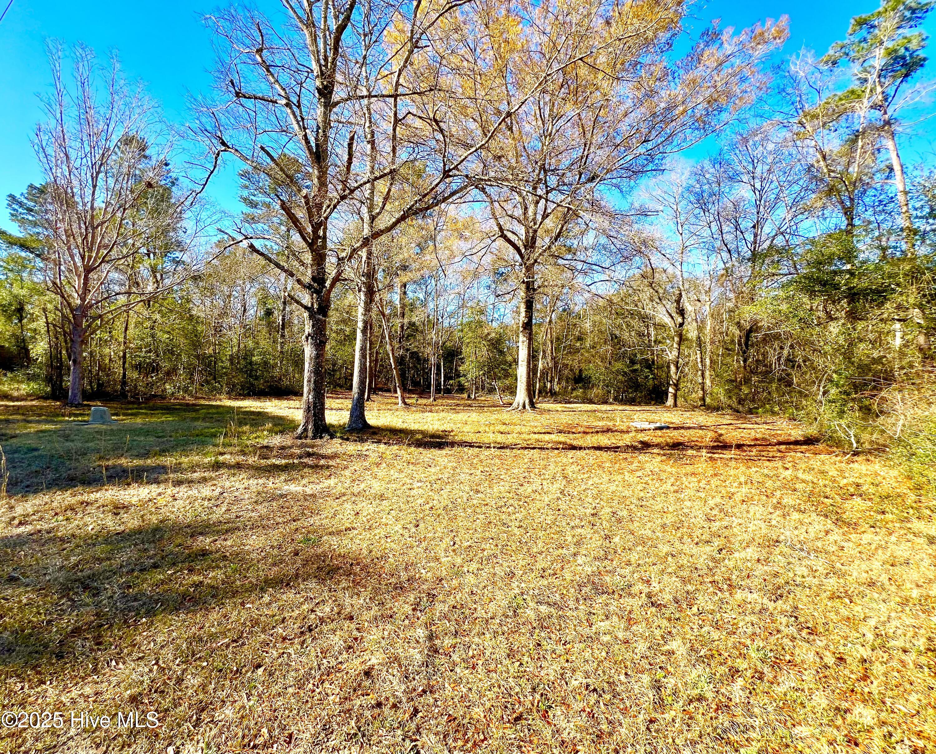 1563 Egret Drive Property Photo 3