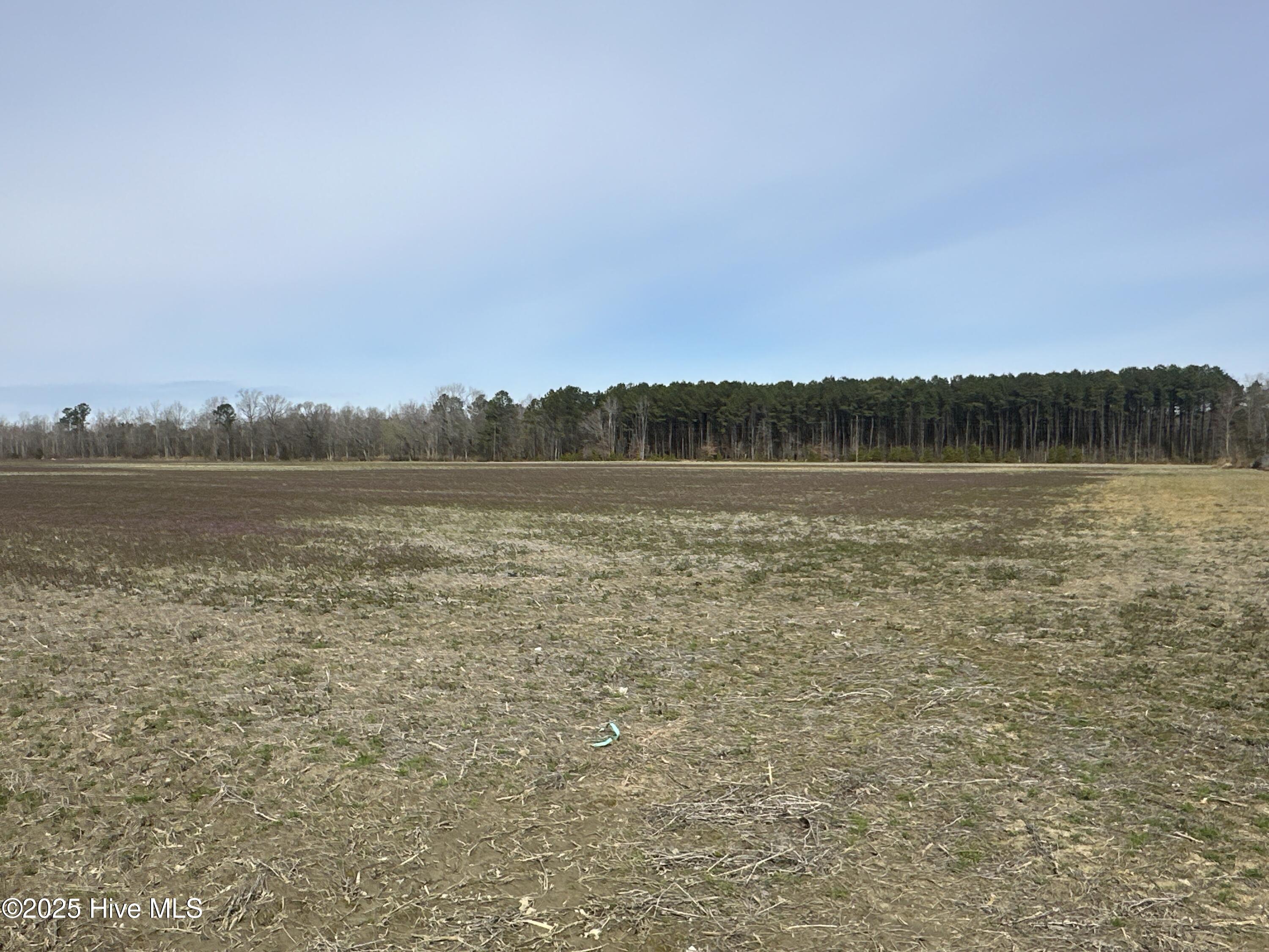 6281 Nc Highway 32 Property Photo 7