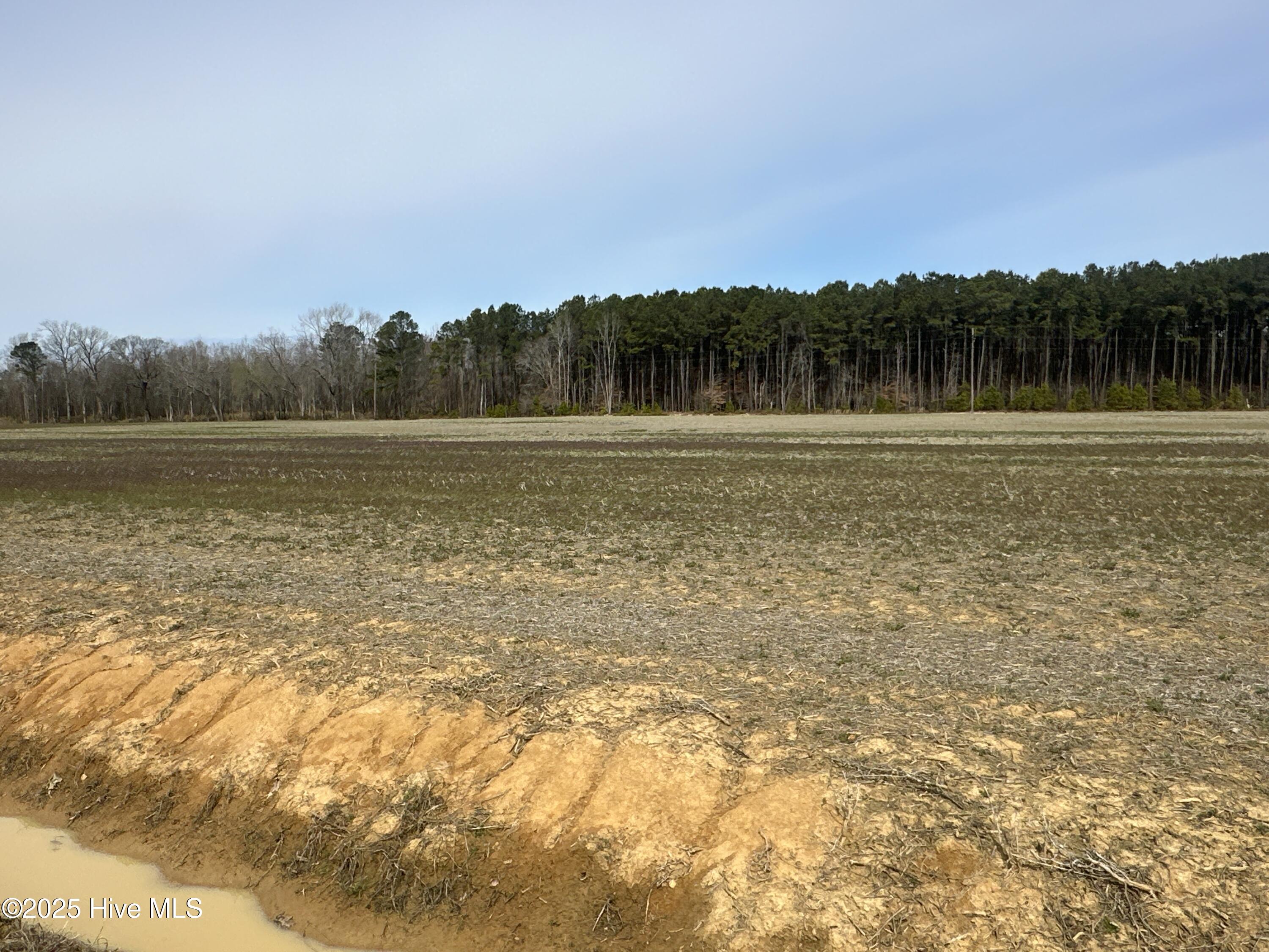 6281 Nc Highway 32 Property Photo 14