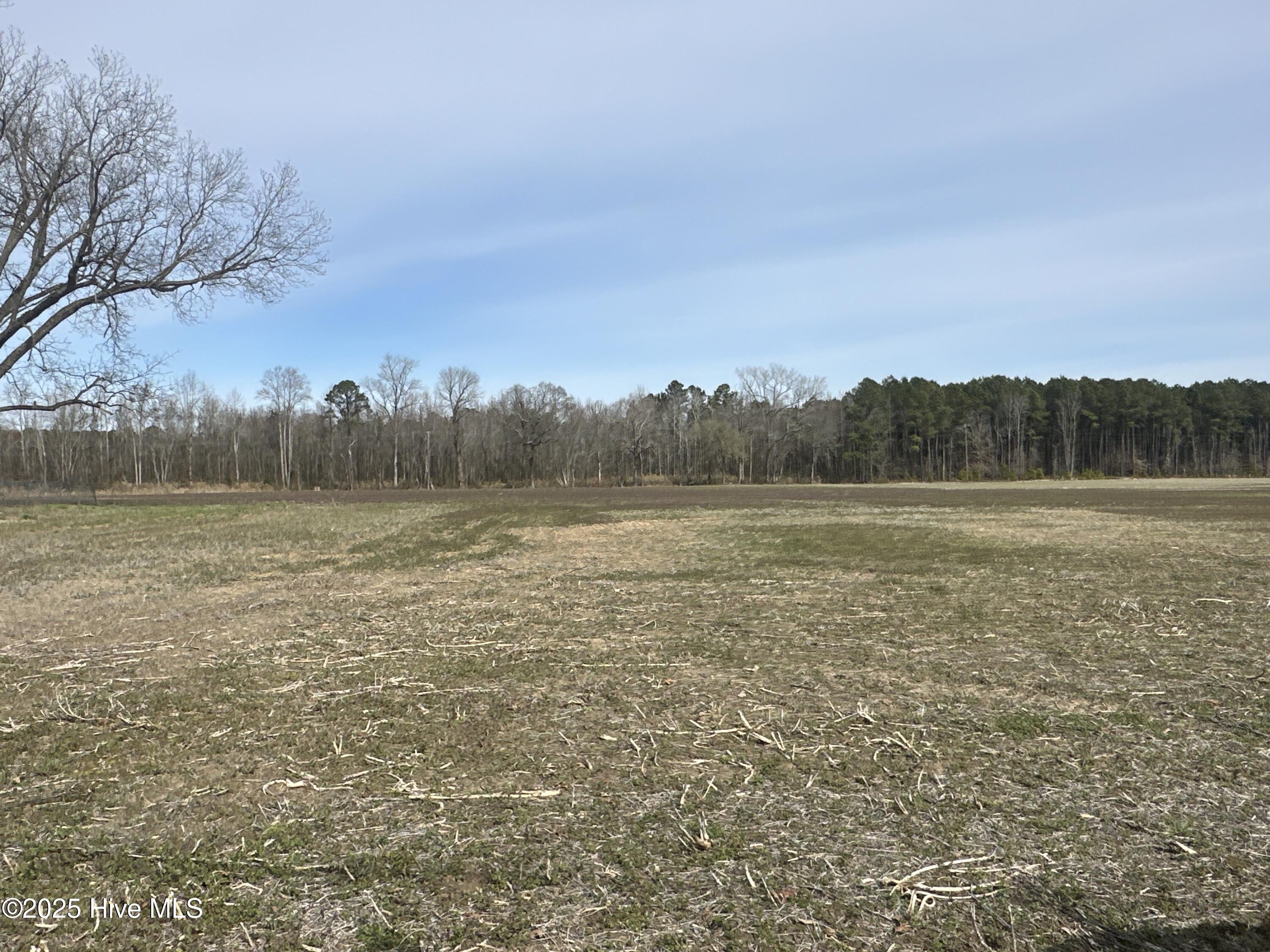 6281 Nc Highway 32 Property Photo 18