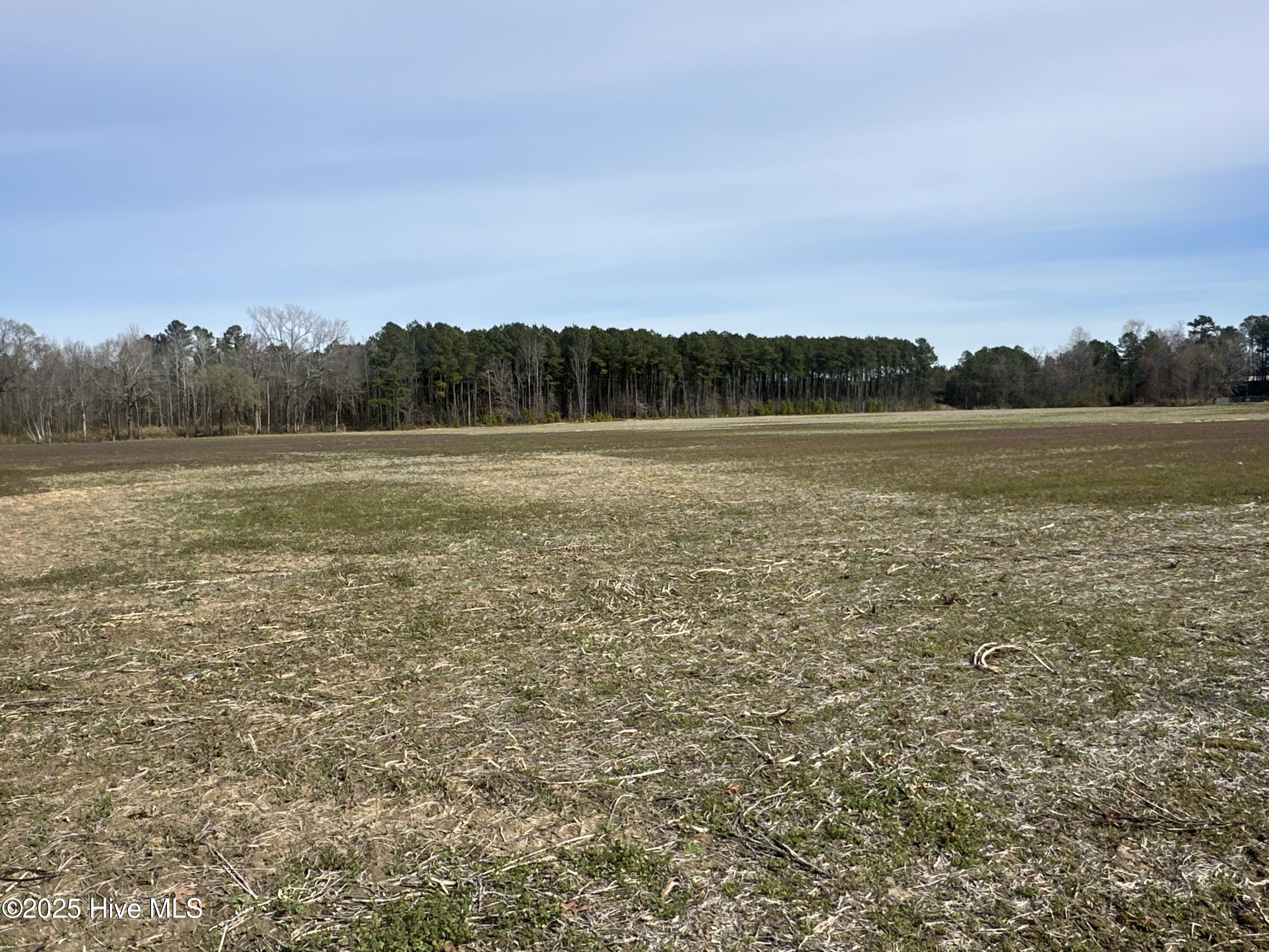 6281 Nc Highway 32 Property Photo 19