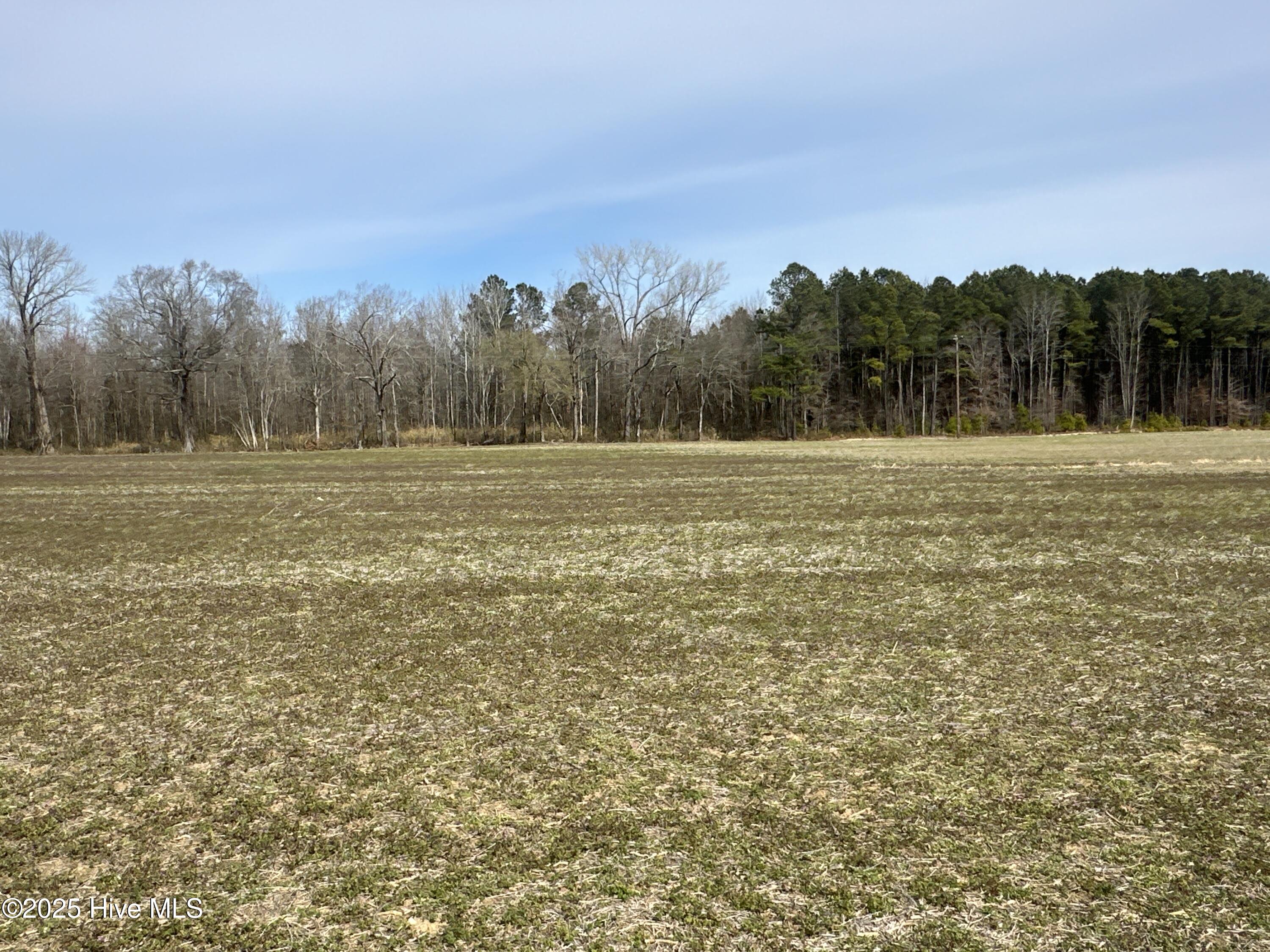 6281 Nc Highway 32 Property Photo 22