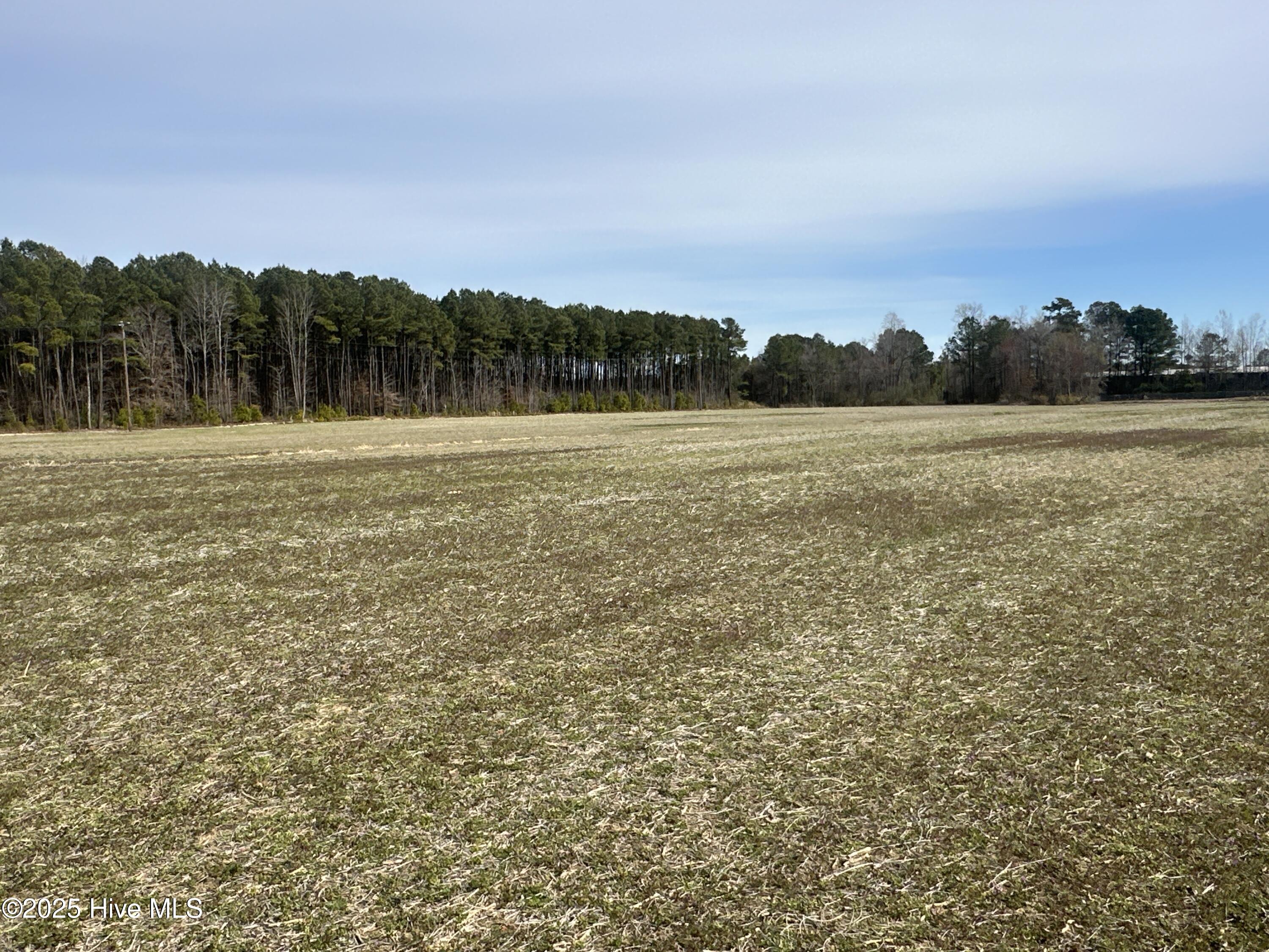 6281 Nc Highway 32 Property Photo 23