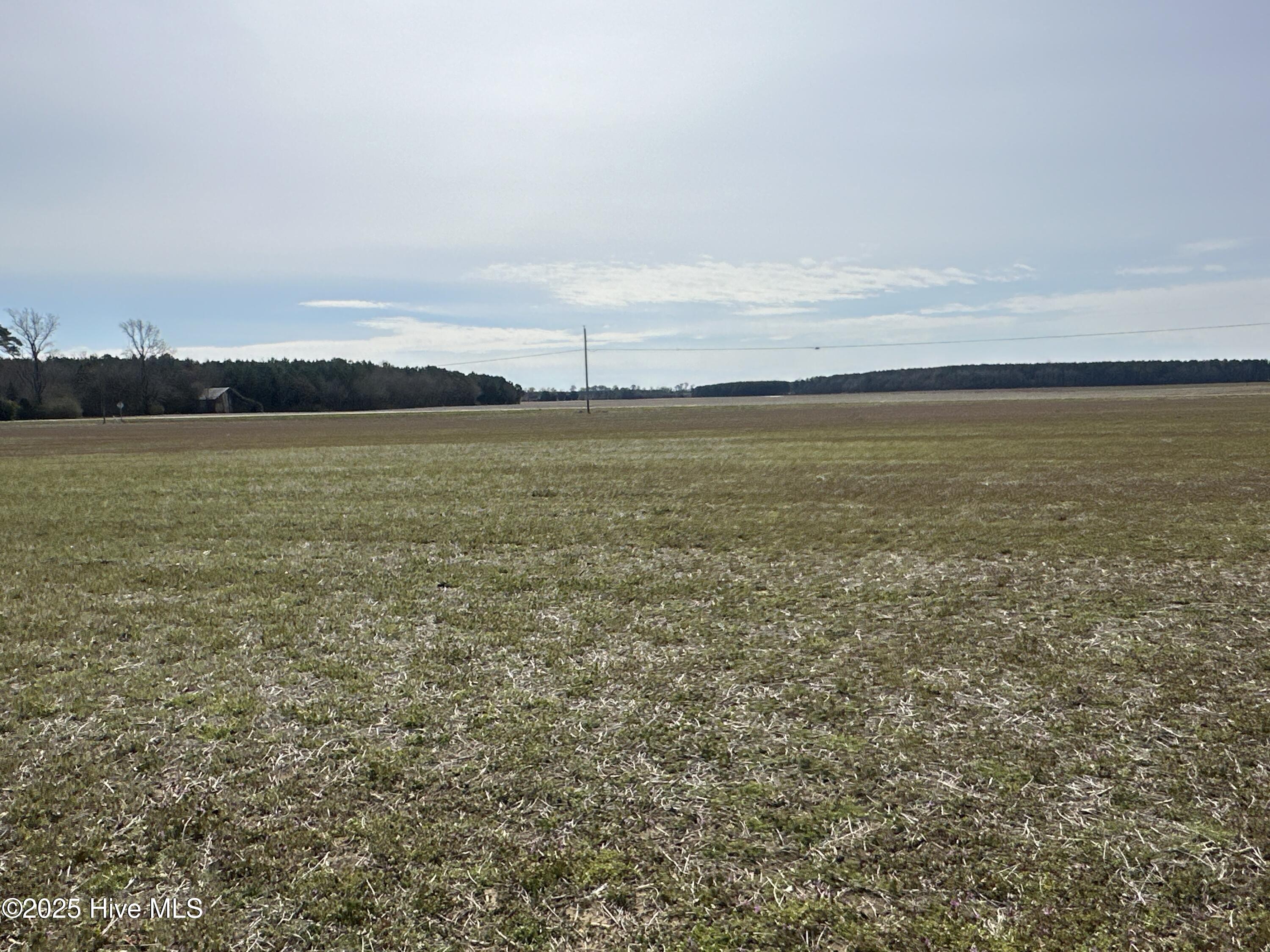 6281 Nc Highway 32 Property Photo 26