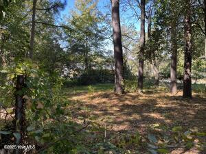 1106 S Franklin Street Property Photo