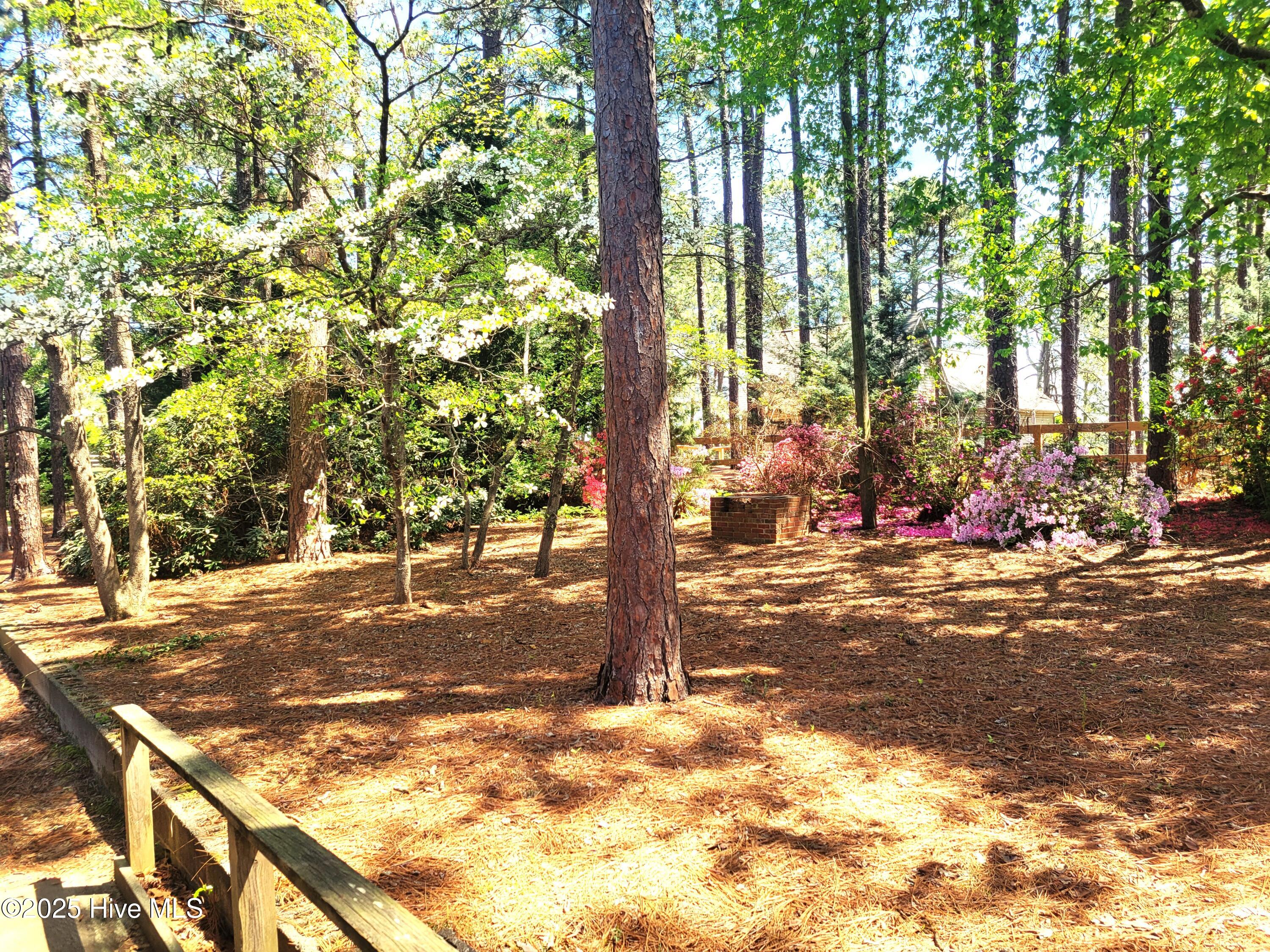 320 Shields Road Property Photo 36