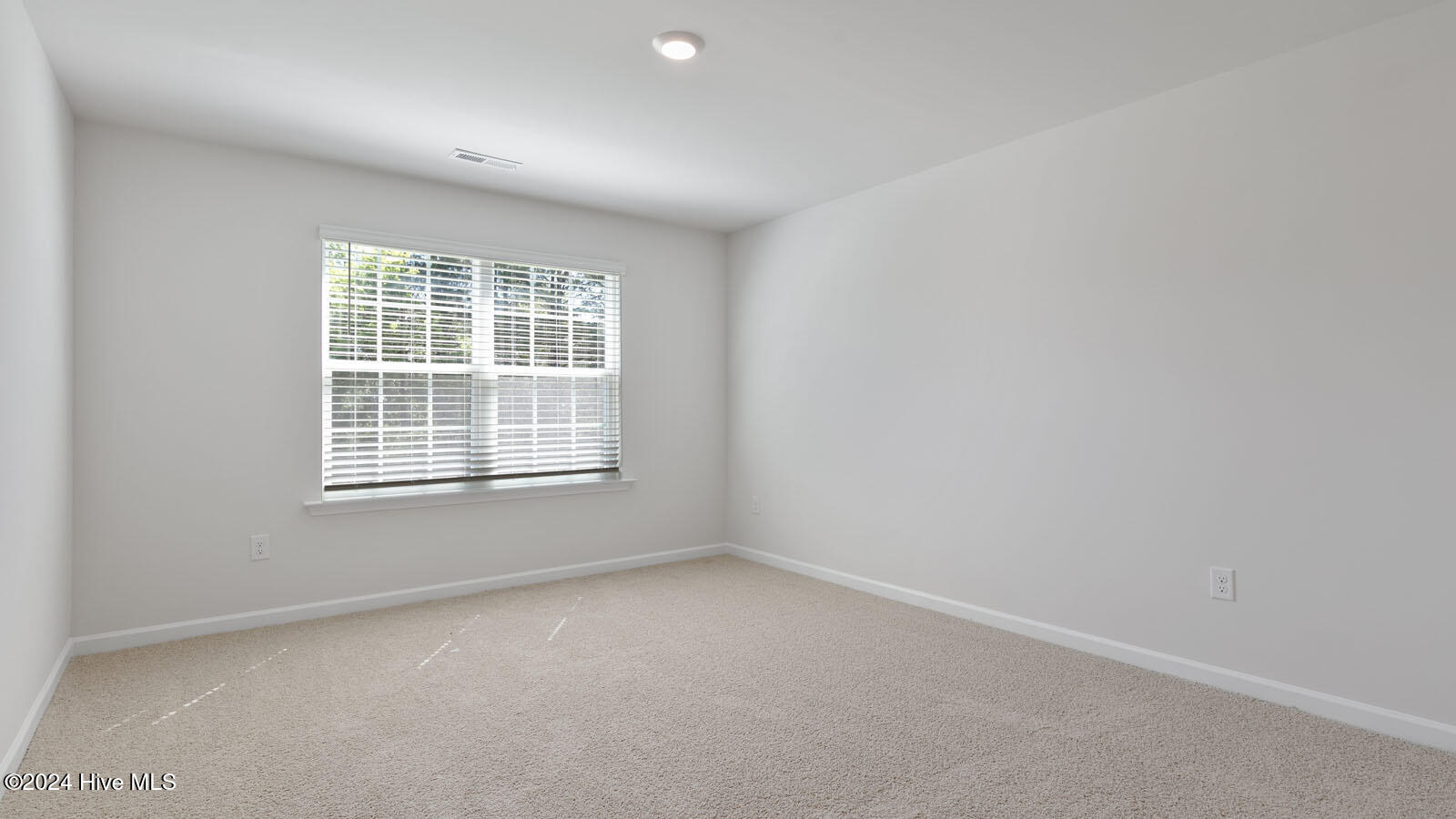 1005 Ocean Court Property Photo 19