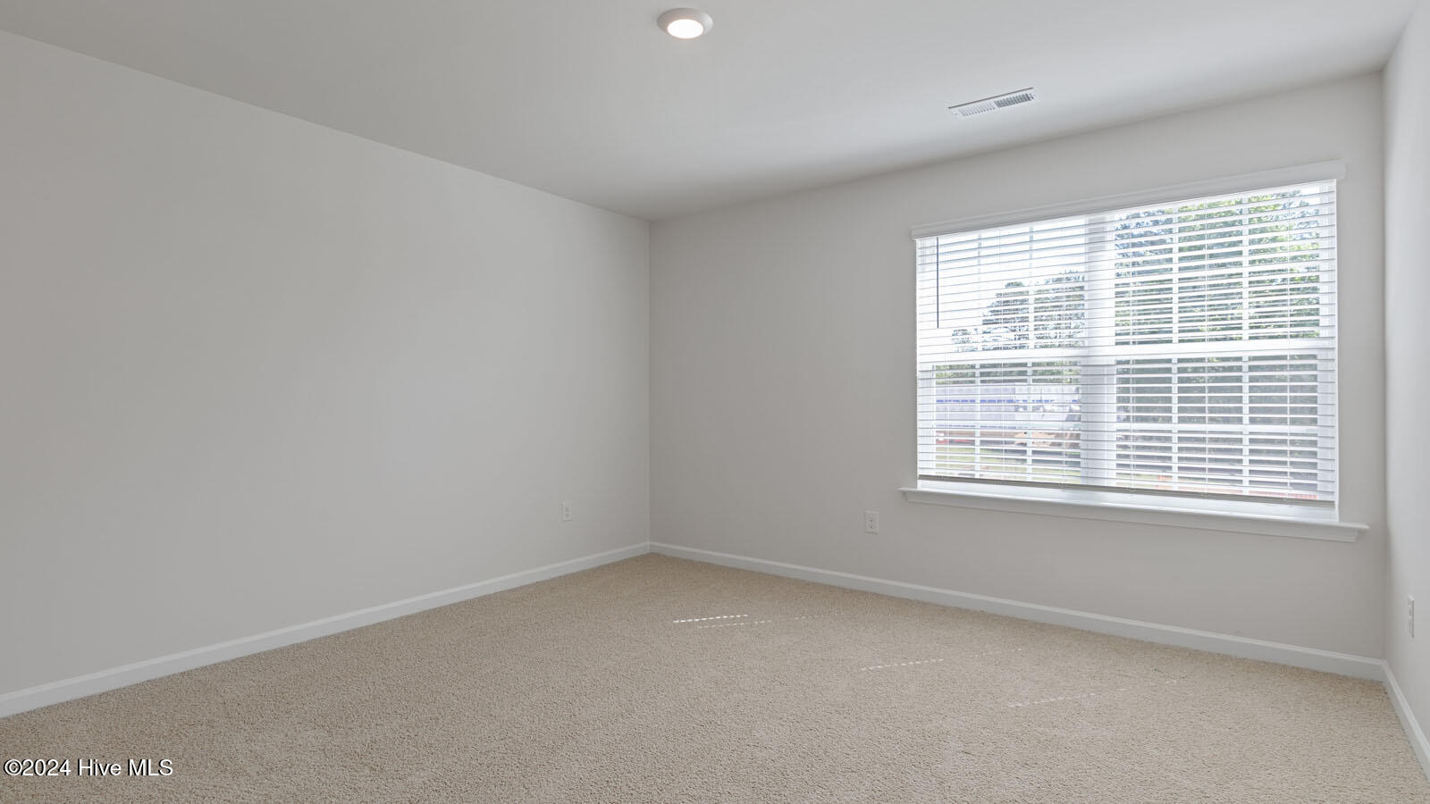 1005 Ocean Court Property Photo 20
