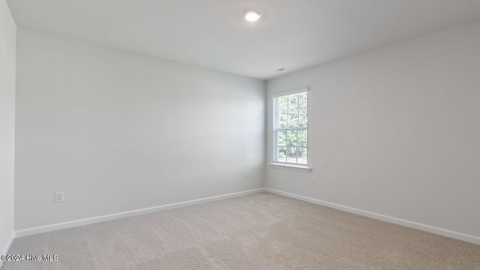 1005 Ocean Court Property Photo 27
