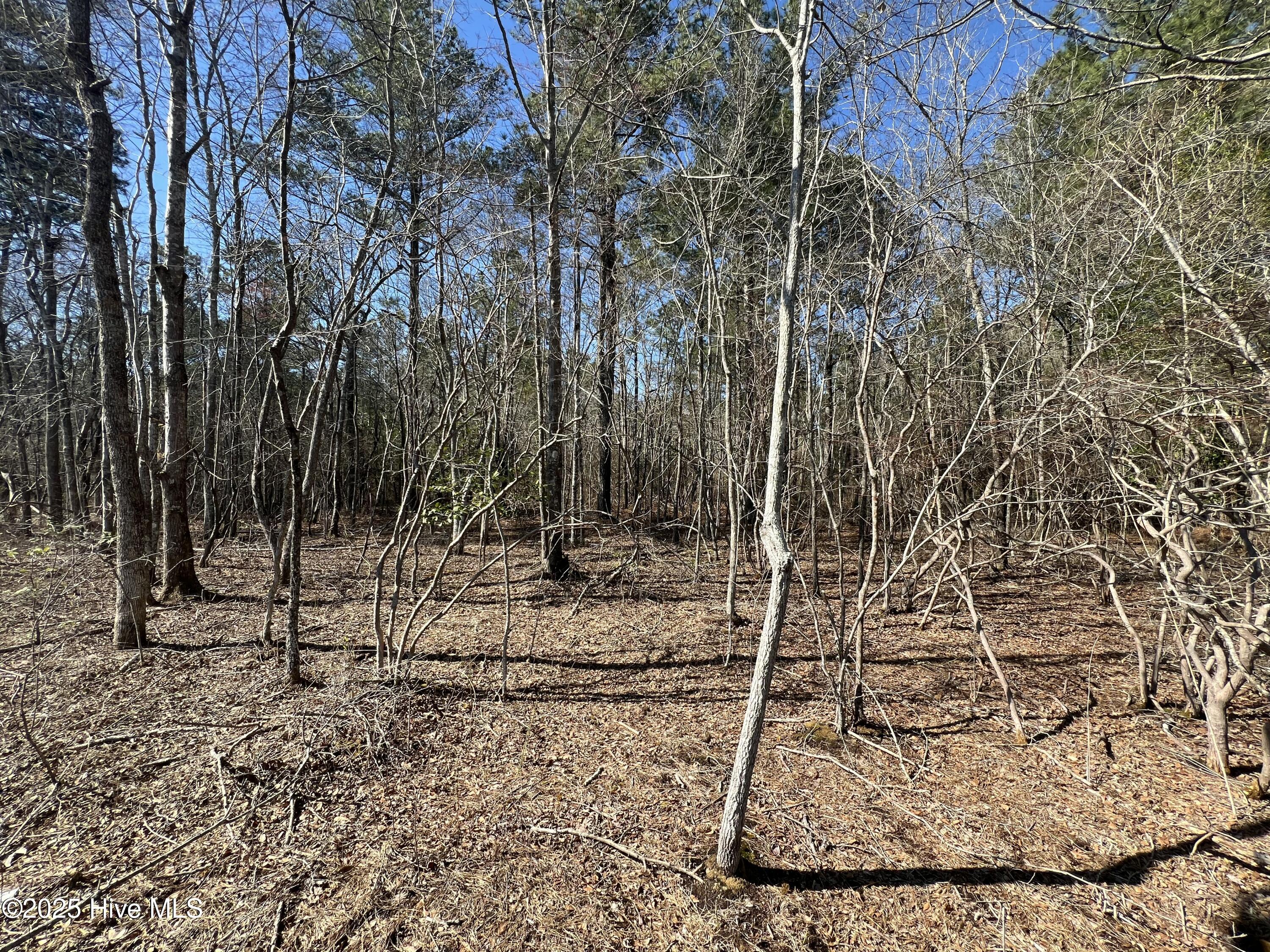 0 Roy Beach Road Property Photo 19