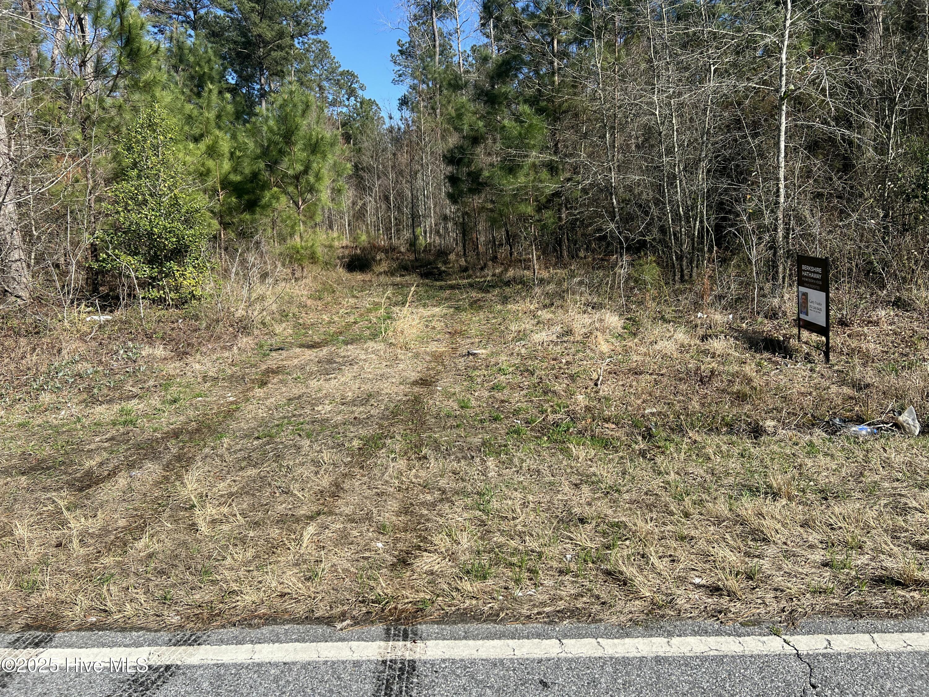 0 Roy Beach Road Property Photo 28