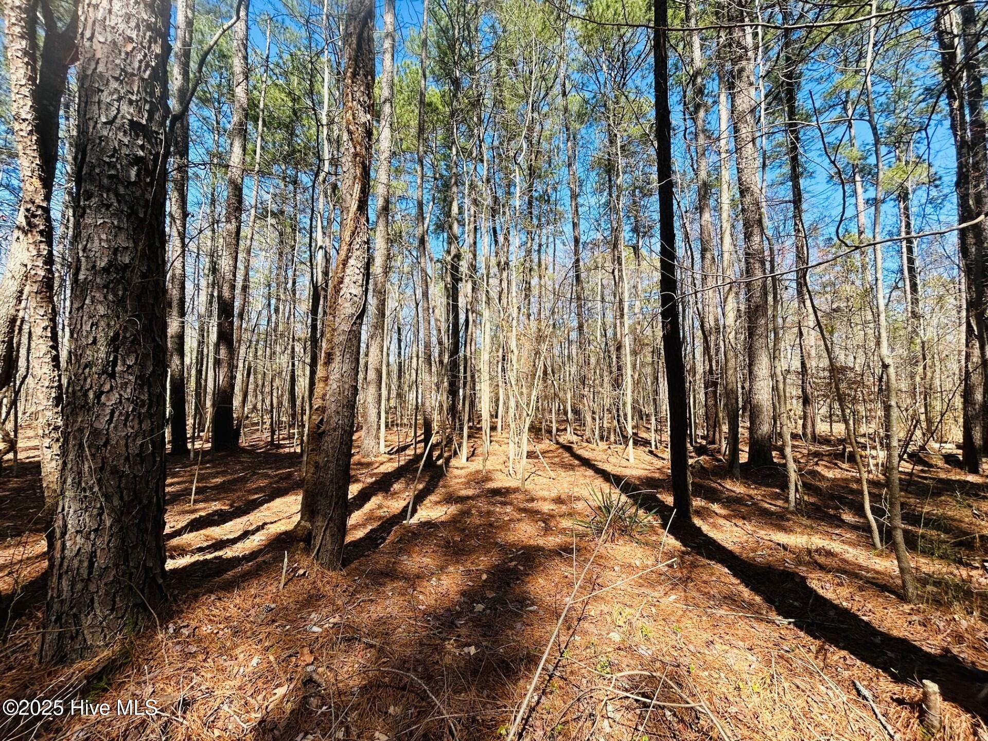 52-a Hunt Club Trail Property Photo