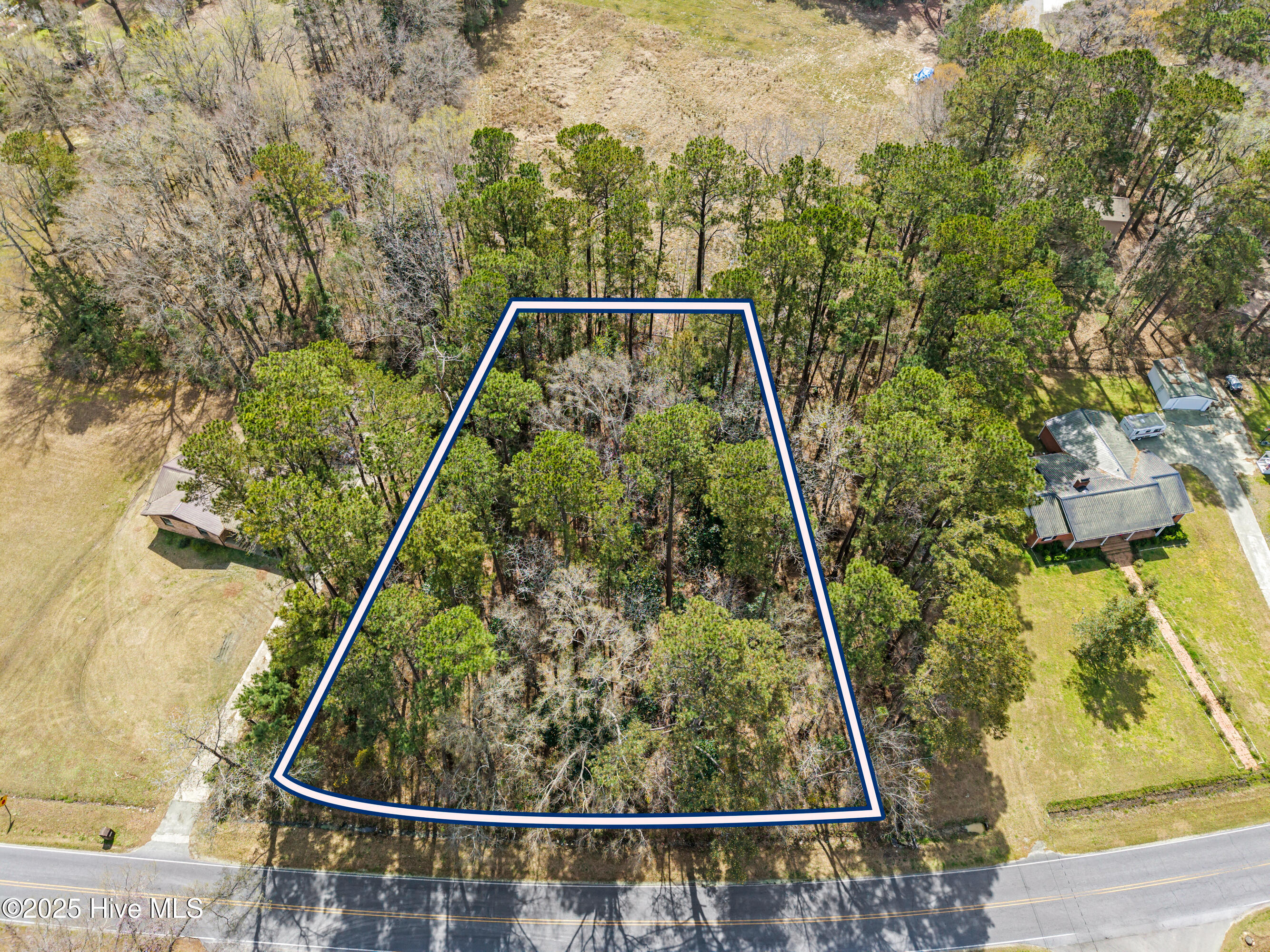 155 Flowers Pridgen Drive Property Photo 1