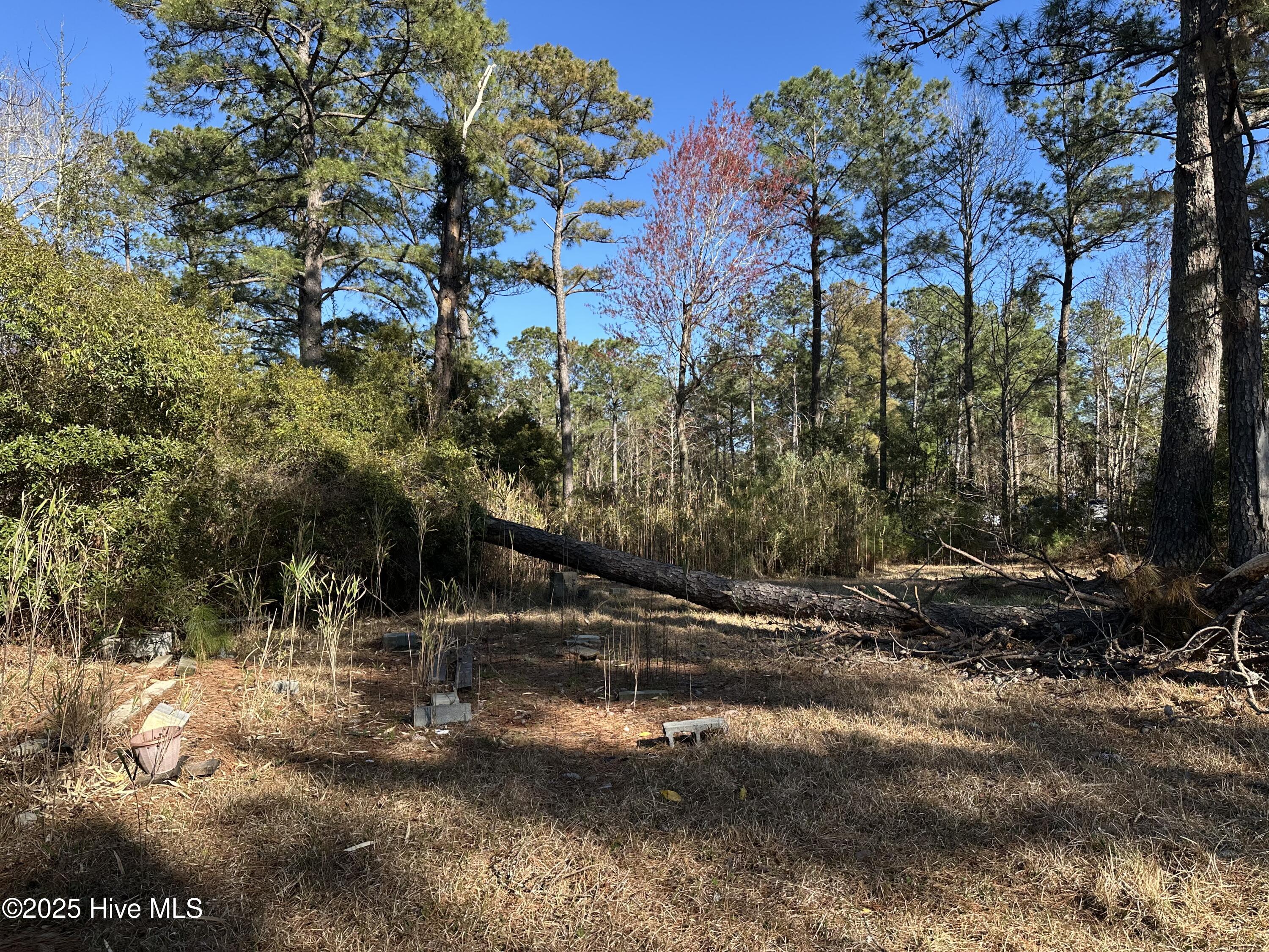 438 Firetower Road Property Photo 4