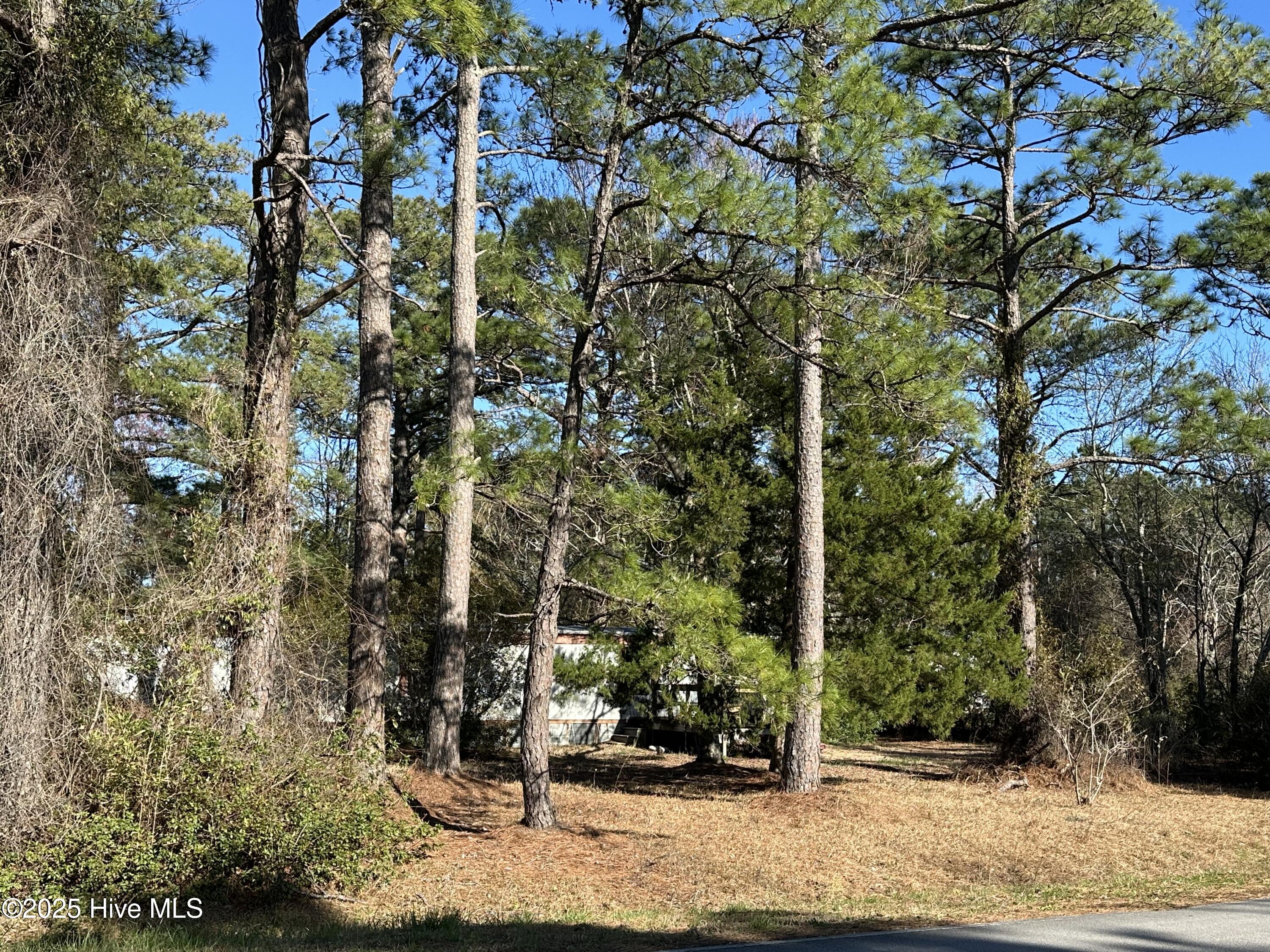 438 Firetower Road Property Photo 5