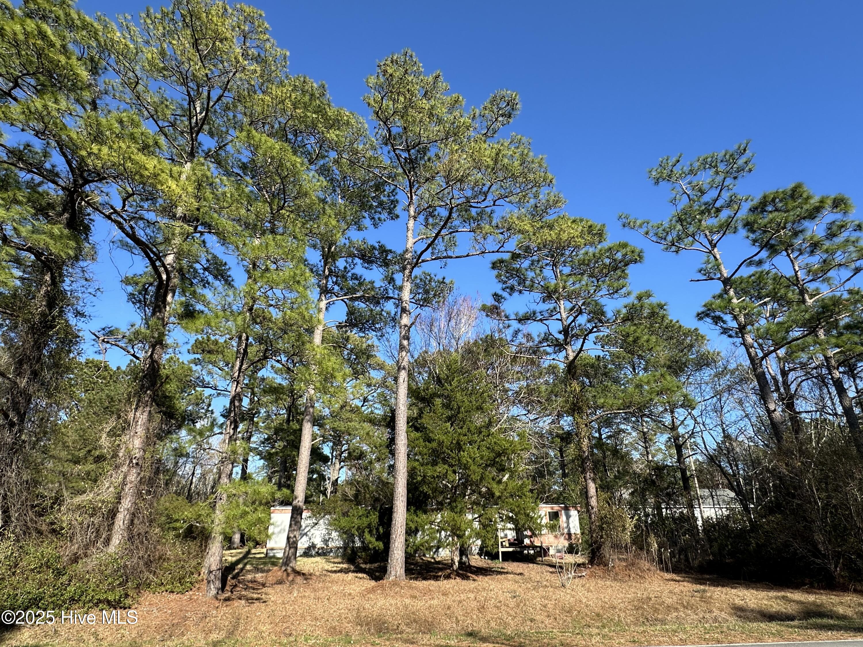 438 Firetower Road Property Photo 6