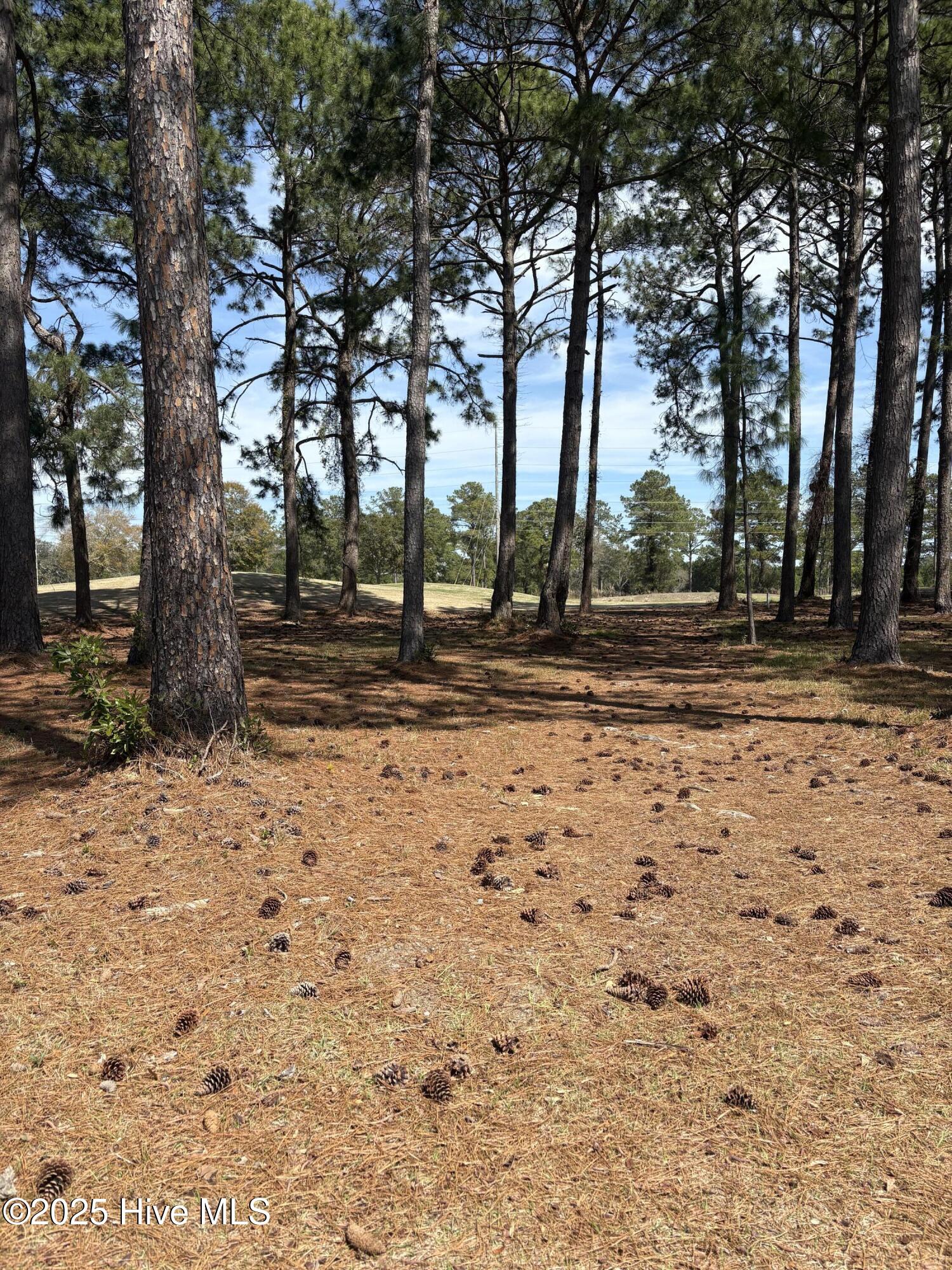 591 Lot 33 Eastwood Park Road Property Photo