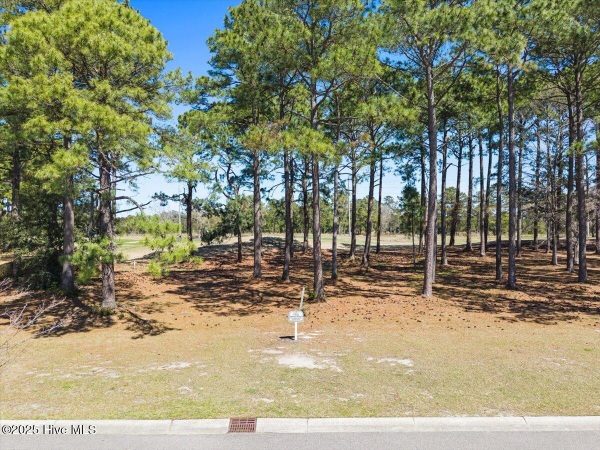591 Lot 33 Eastwood Park Road Property Photo 2