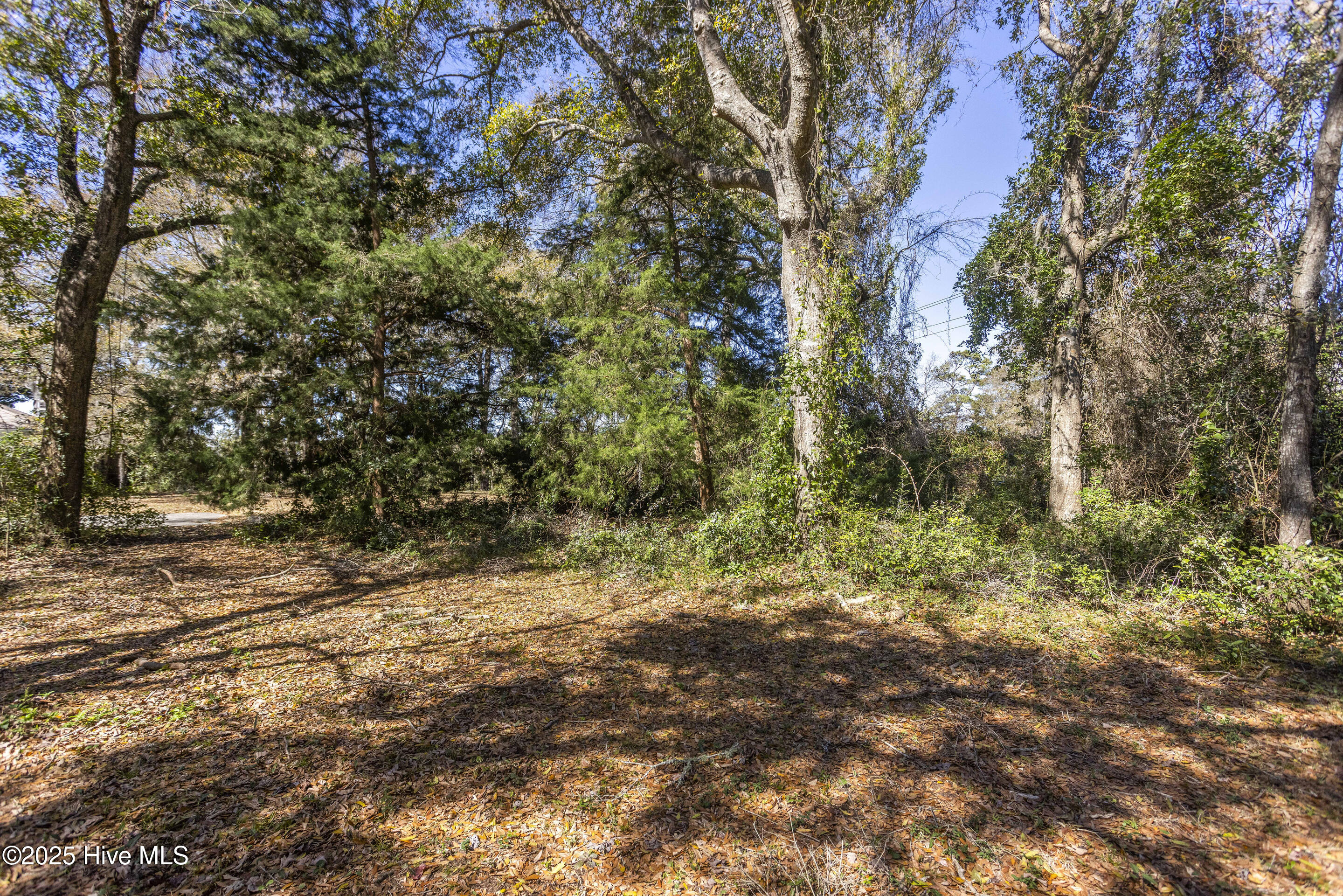 1&2 Shoreline Drive Property Photo 13